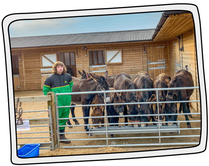Poppy's Place barn was built in 2019 A picture of Poppy's Place barn with donkeys enjoying a drink and food from their trough at the Isle of Wight Donkey Sanctuary