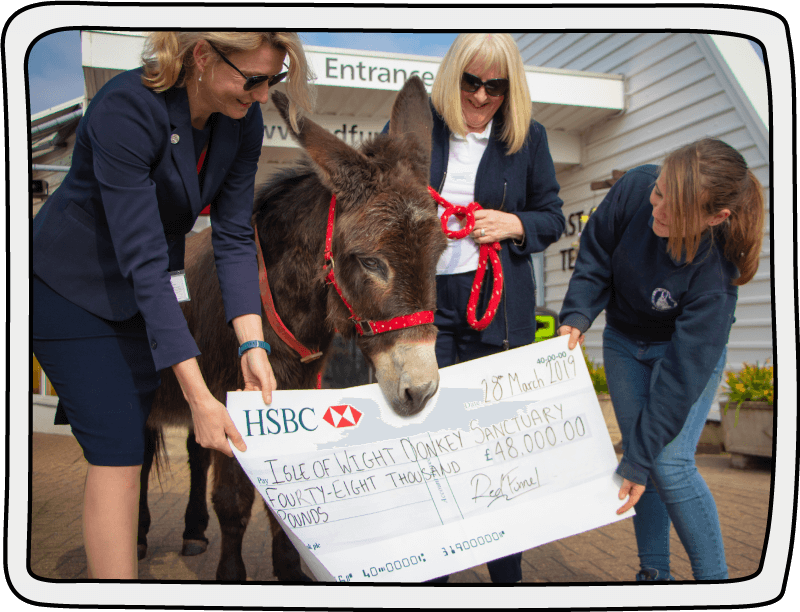 £48,000 was raised by Red Funnel for us in 2018! The staff at Red Funnel presenting an award to the Isle of Wight Donkey Sanctuary, where they were the Charity of the Year in 2018