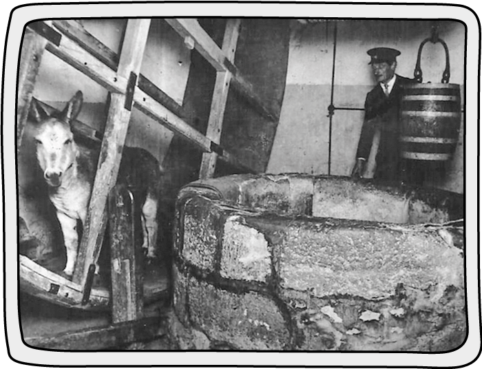 A donkey walking the wheel at Carisbrooke Castle to bring water up from the 150ft well A donkey in 1969 walking the wheel at Carisbrooke Castle to bring up water from the 150ft well