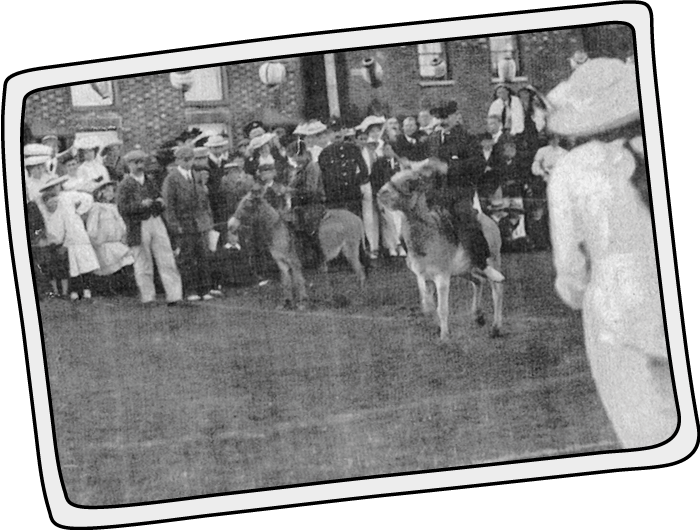 Donkey races at St Helens in 1905, Isle of Wight Donkey races at St Helens in 1905, Isle of Wight
