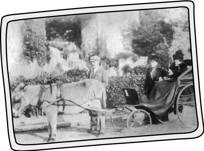 Donkey providing a taxi service in 1900 Donkey taxi service in Ventnor on the Isle of Wight in 1900