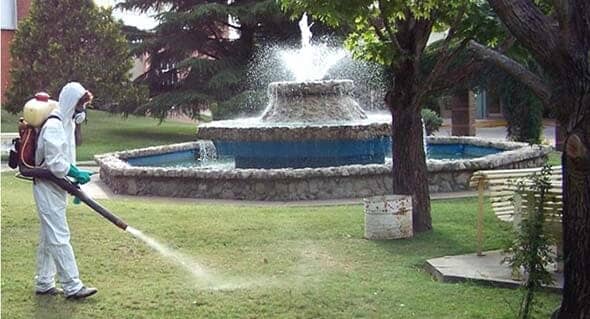 ​ROCAMALU CONTROL DE PLAGAS - Insectos voladores