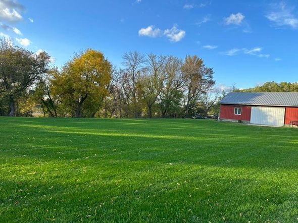 Grassy field under a blue sky, with trees and a red barn at the edge.