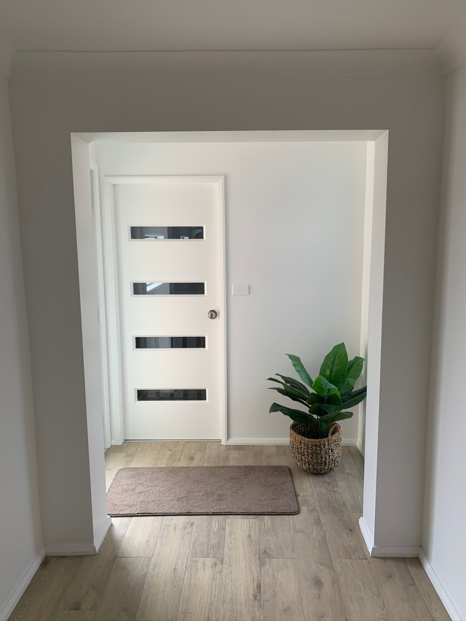 Hallway view toward a white front door with frosted glass panels, rug, and potted plant
