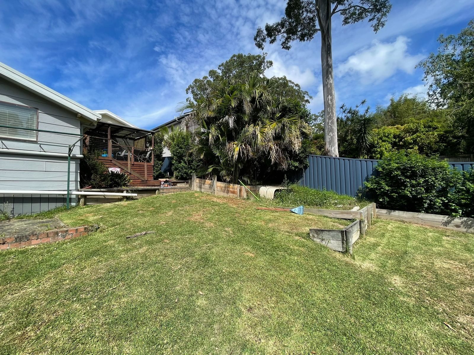 Backyard with grassy lawn, house on left, blue fence, and tall trees under a bright sky