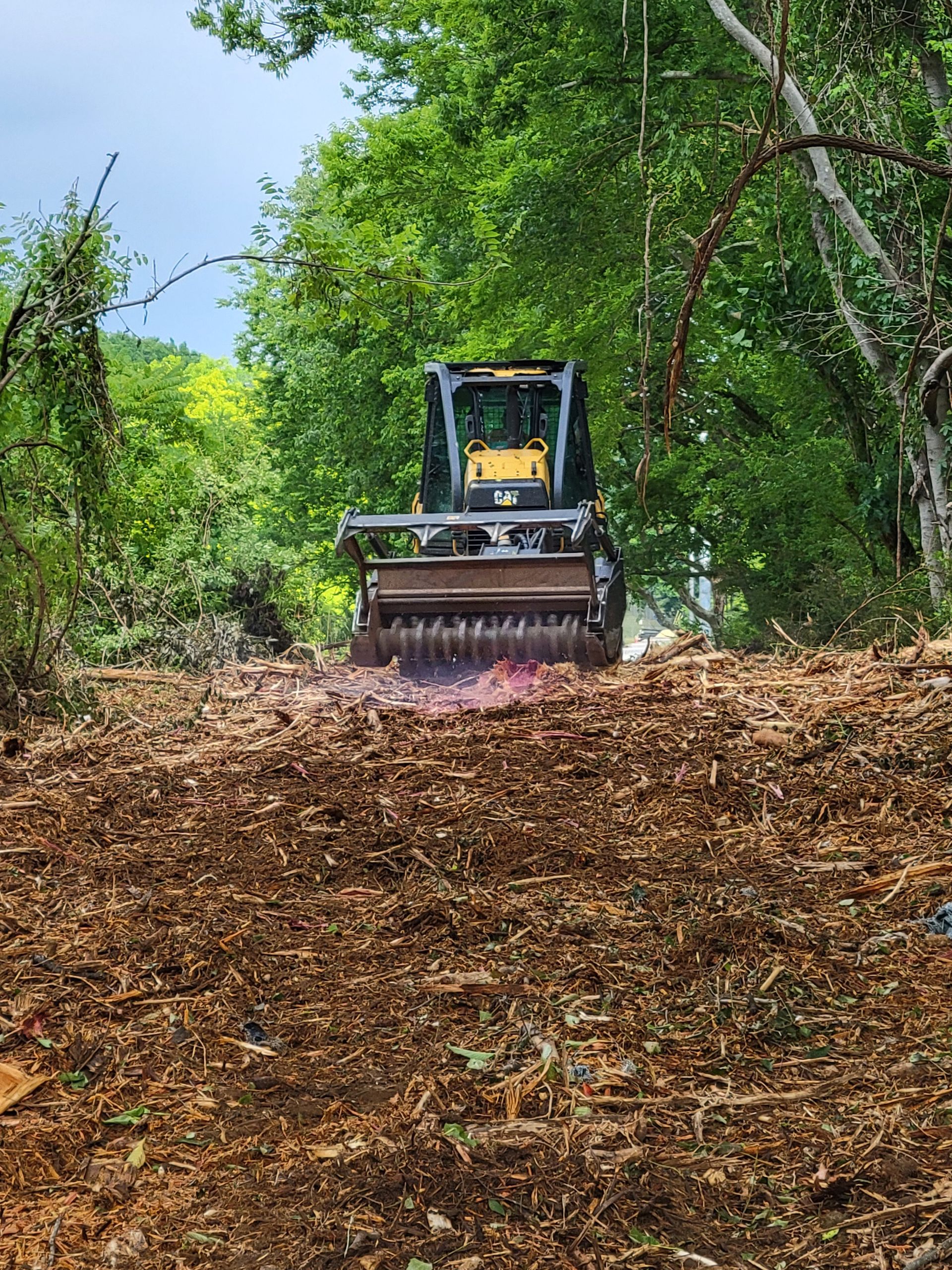 A bulldozer is cutting down trees in the woods.