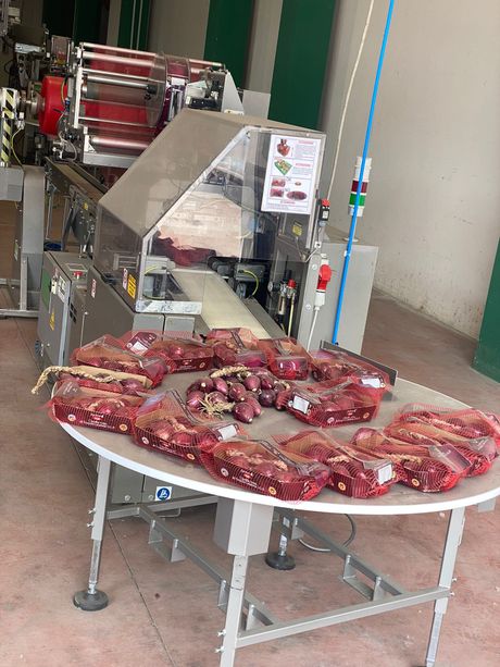 confezionamento di cipolle rosse di Tropea