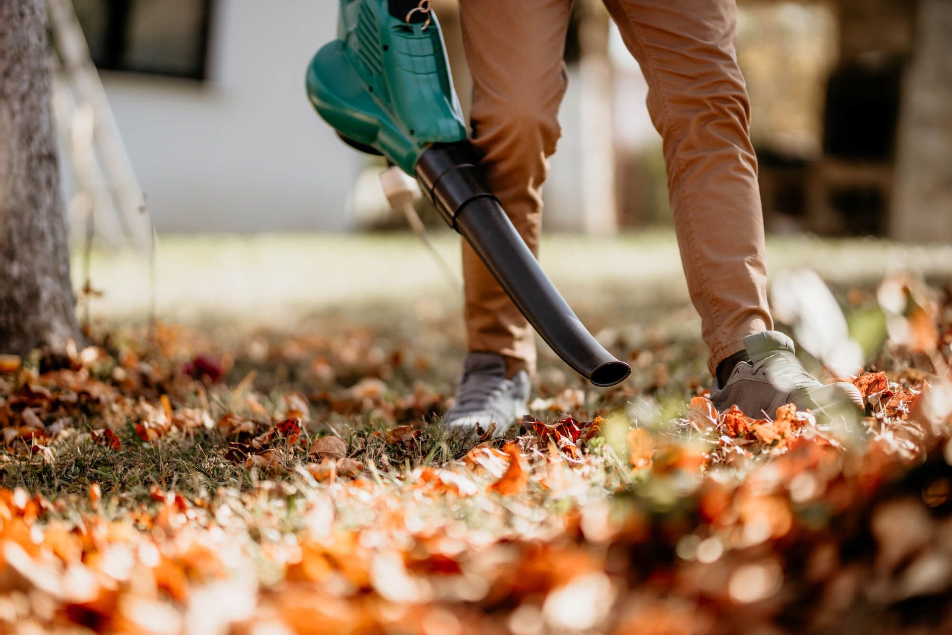 Property Clean Ups