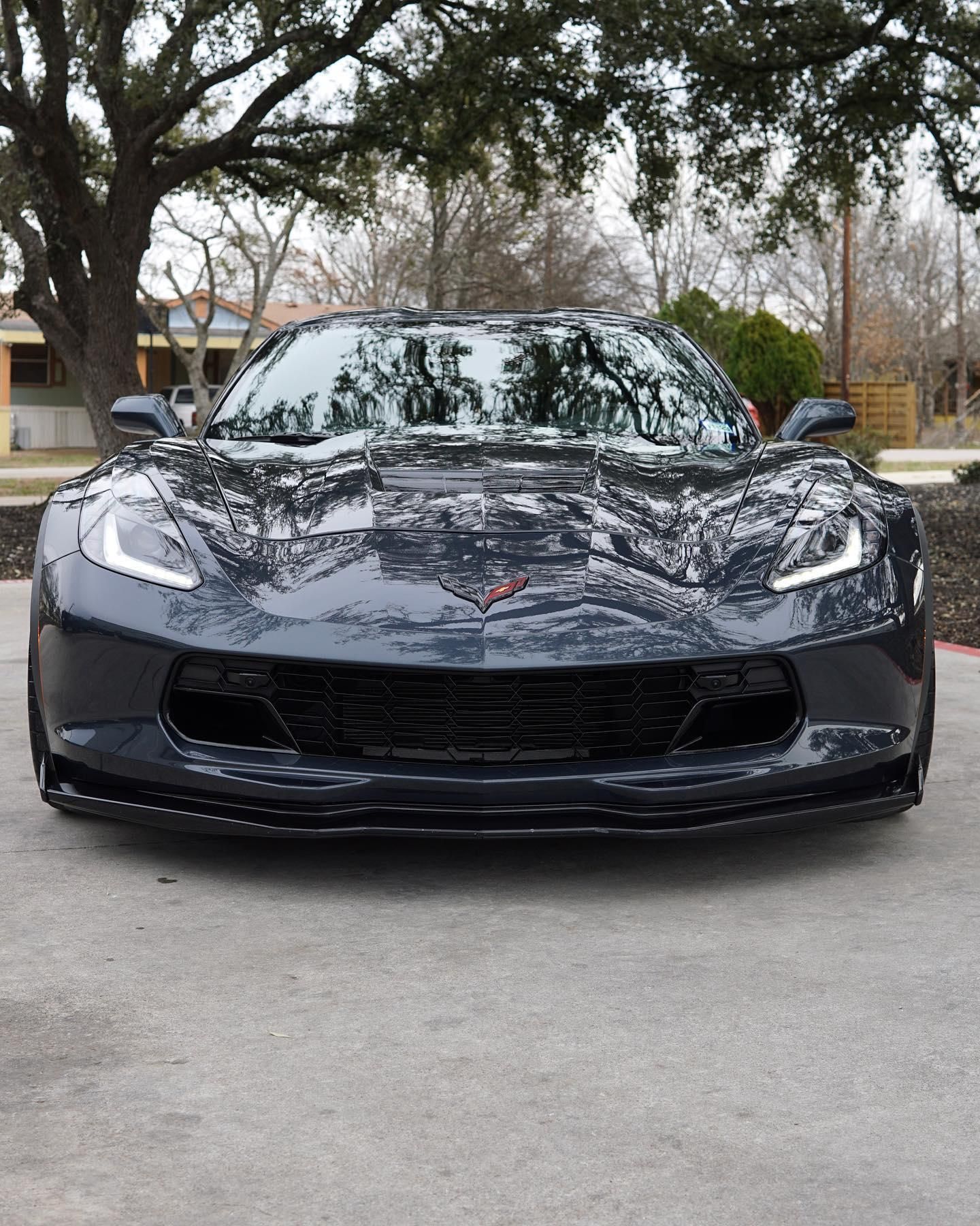 Window Tint