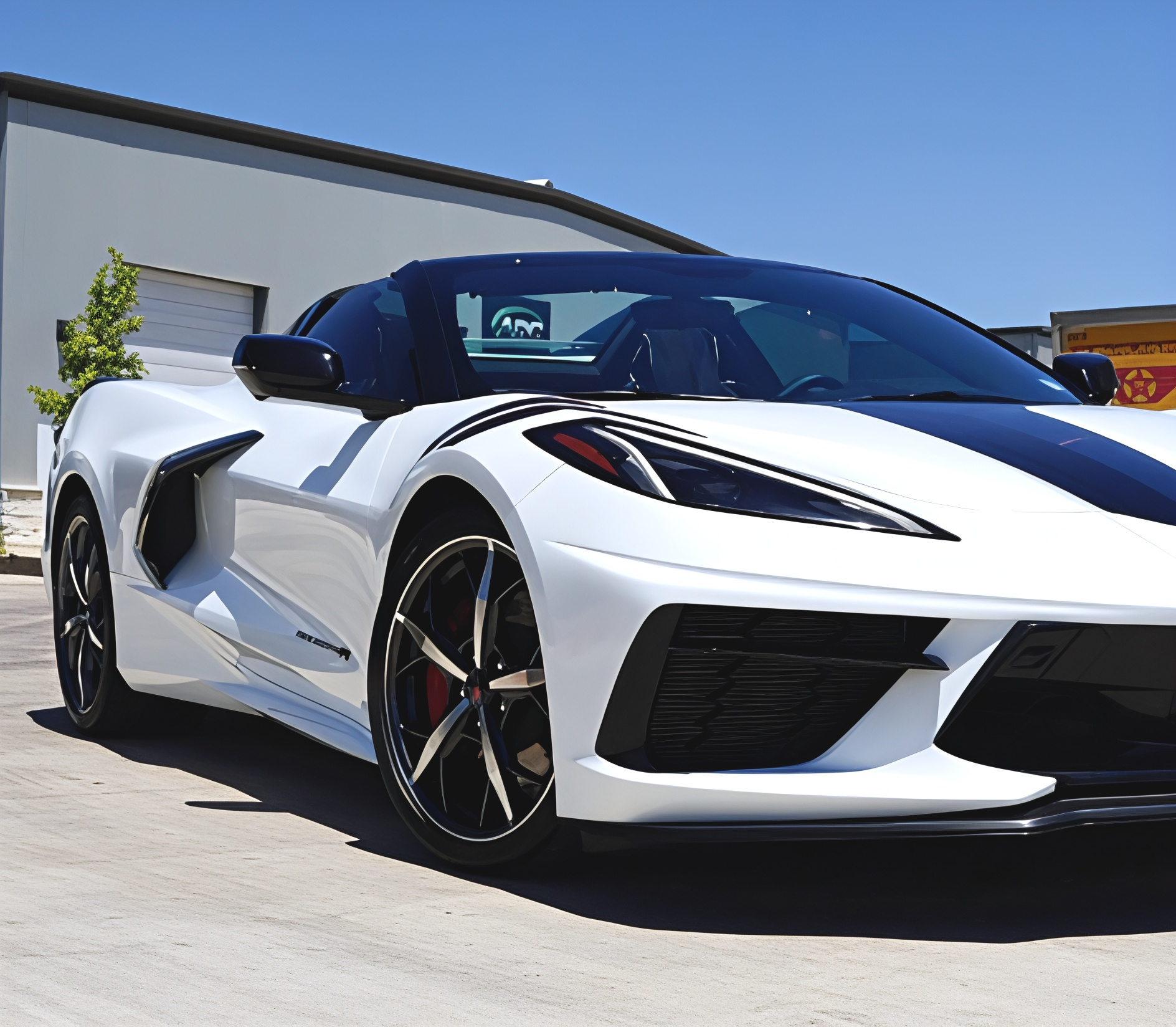 Car Paint Protection