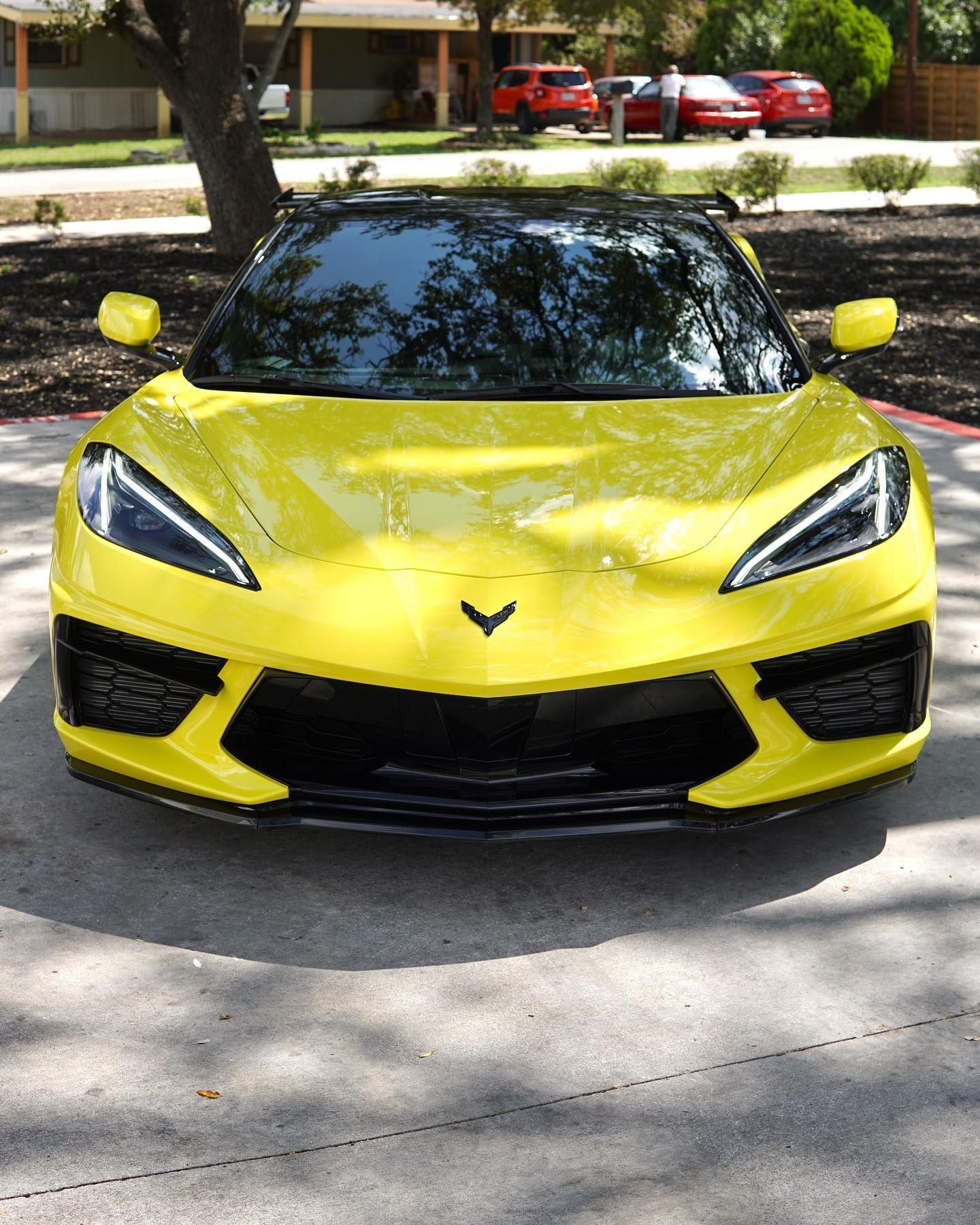 paint protection film