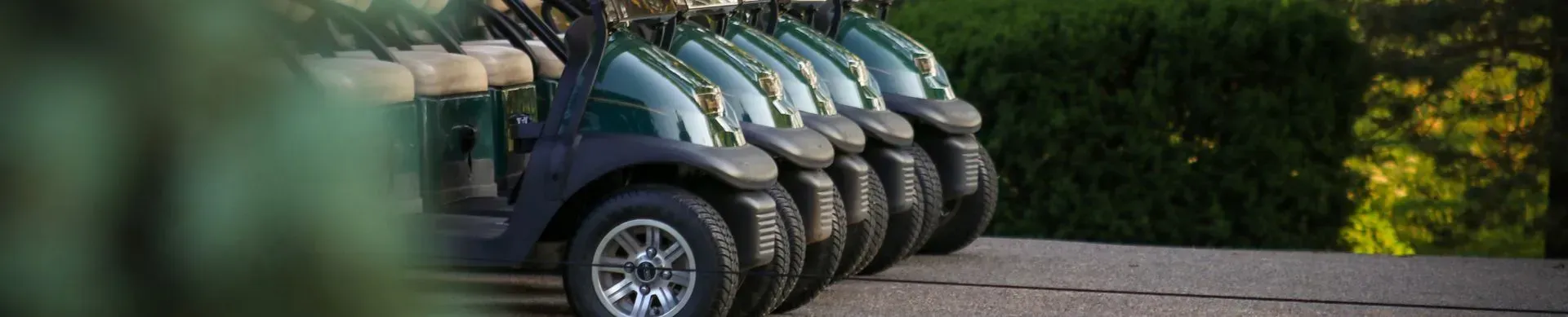 Golf carts