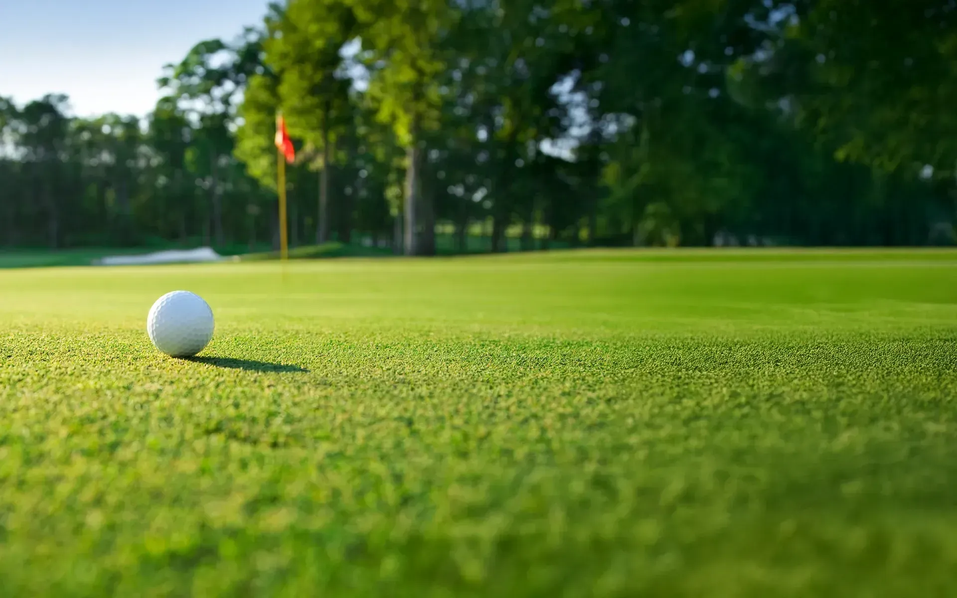 A white golf ball sits on a lush green golf course putting green with a flagstick in the distance.