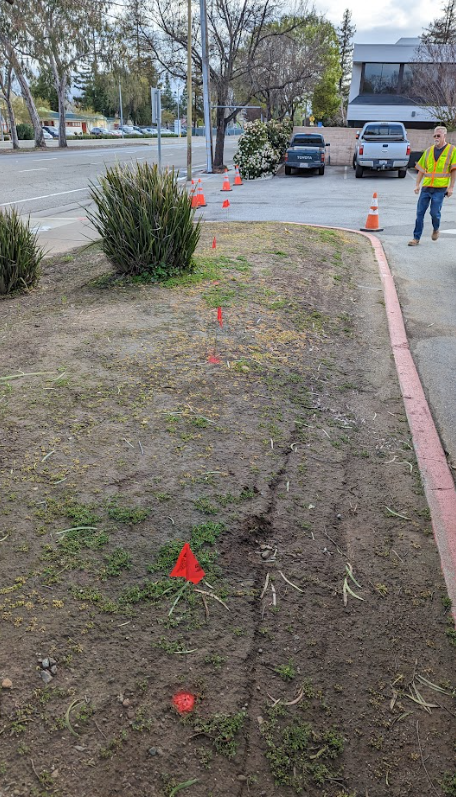 A construction worker in a high-visibility vest stands near a row of orange safety cones marking a utility line on a lawn.