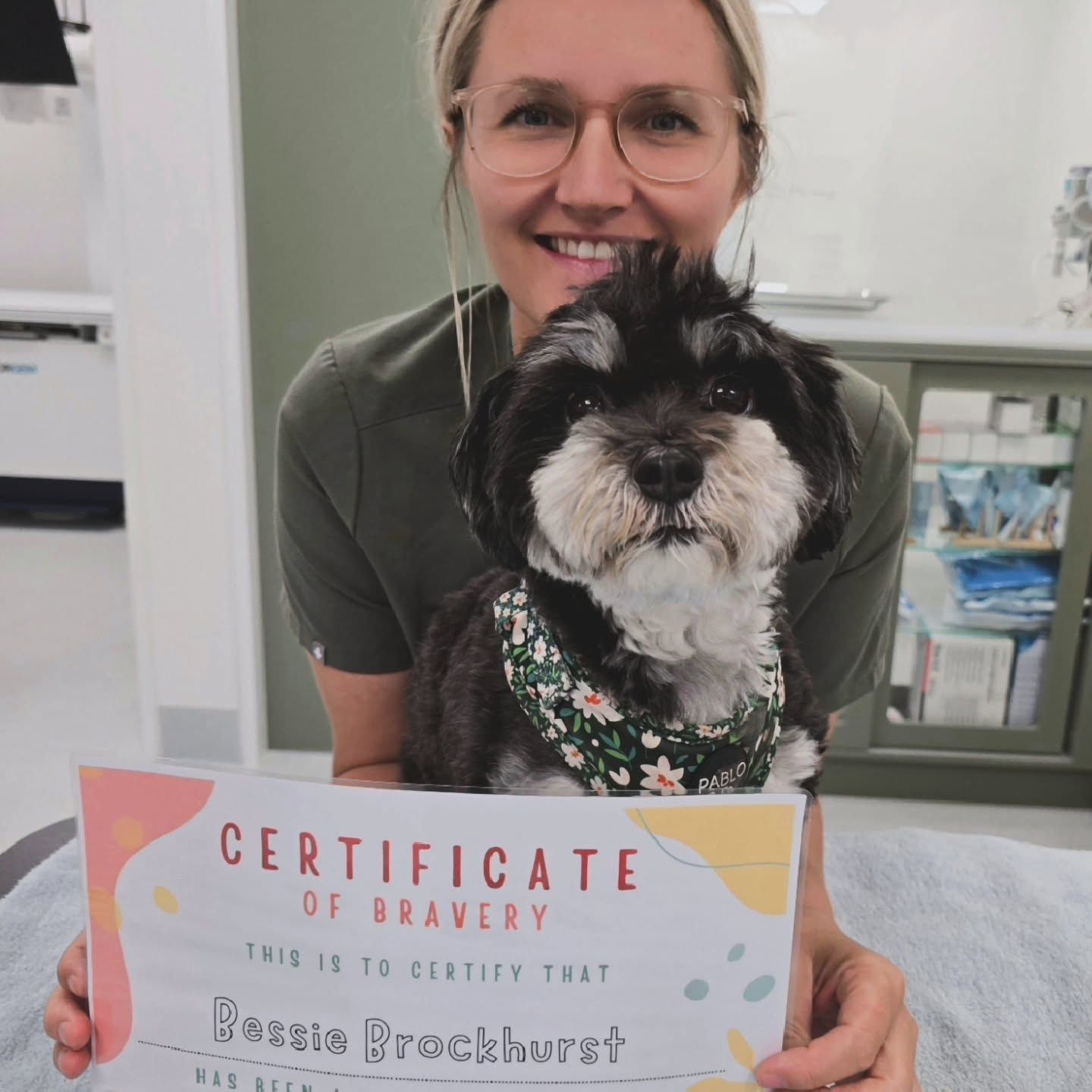 A Woman Smiling Behind Small Black And White Dog — The Neighbourhood Vet in Tewantin, QLD