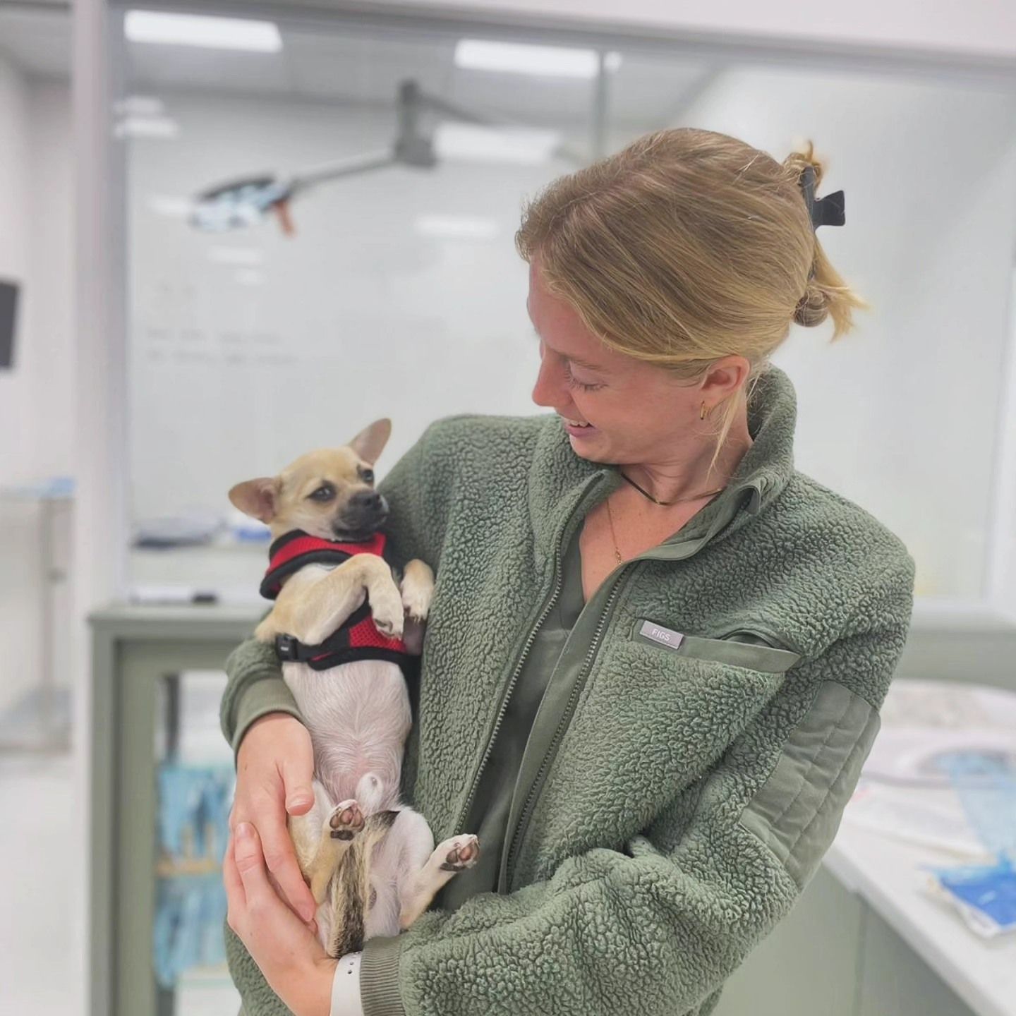 A Woman Holding a Small Dog — The Neighbourhood Vet in Tewantin, QLD