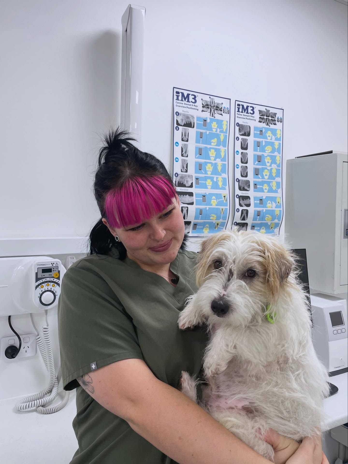 A Woman with Pink Hair Holding a Fluffy Dog — The Neighbourhood Vet in Tewantin, QLD