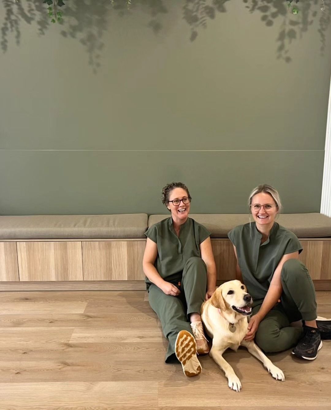 Two People Sit on A Wooden Floor with A Dog — The Neighbourhood Vet in Tewantin, QLD