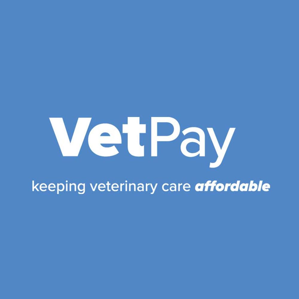 VetPay VetPay logo on blue background with tagline “keeping veterinary care affordable”