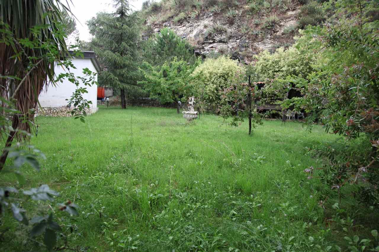 Giardino sul retro della casa con prato, alberi, arbusti e una casetta bianca vicino a un pendio roccioso.