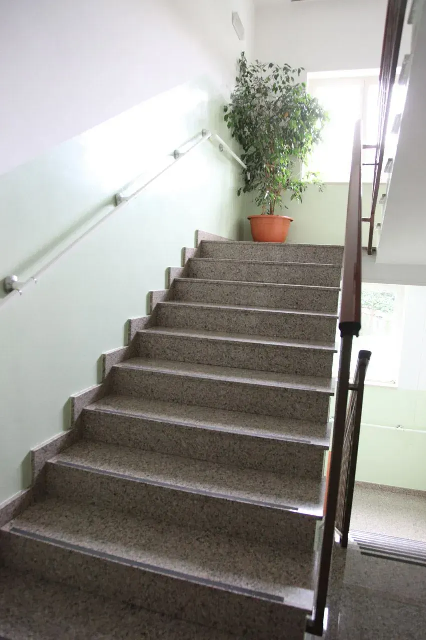 Scala interna con gradini rivestiti di moquette grigia, corrimano e una pianta in vaso sul pianerottolo.
