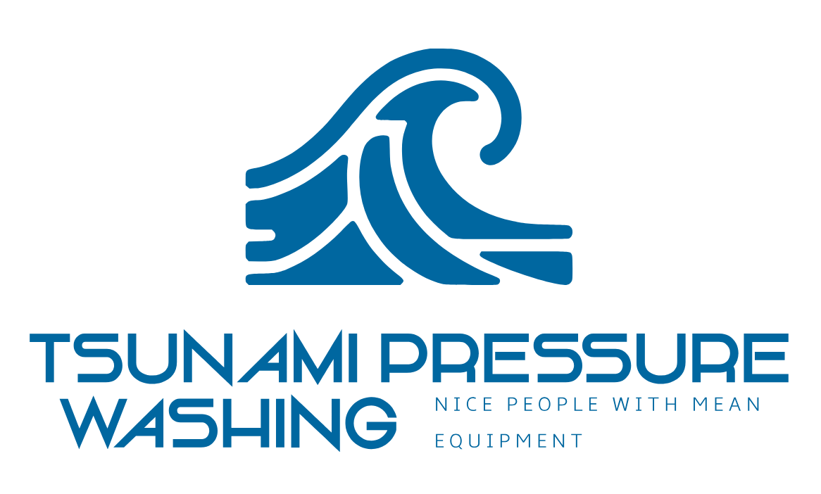 Logo for Tsunami Pressure Washing: a blue wave icon above the company name and the tagline "Nice people with mean equipment."