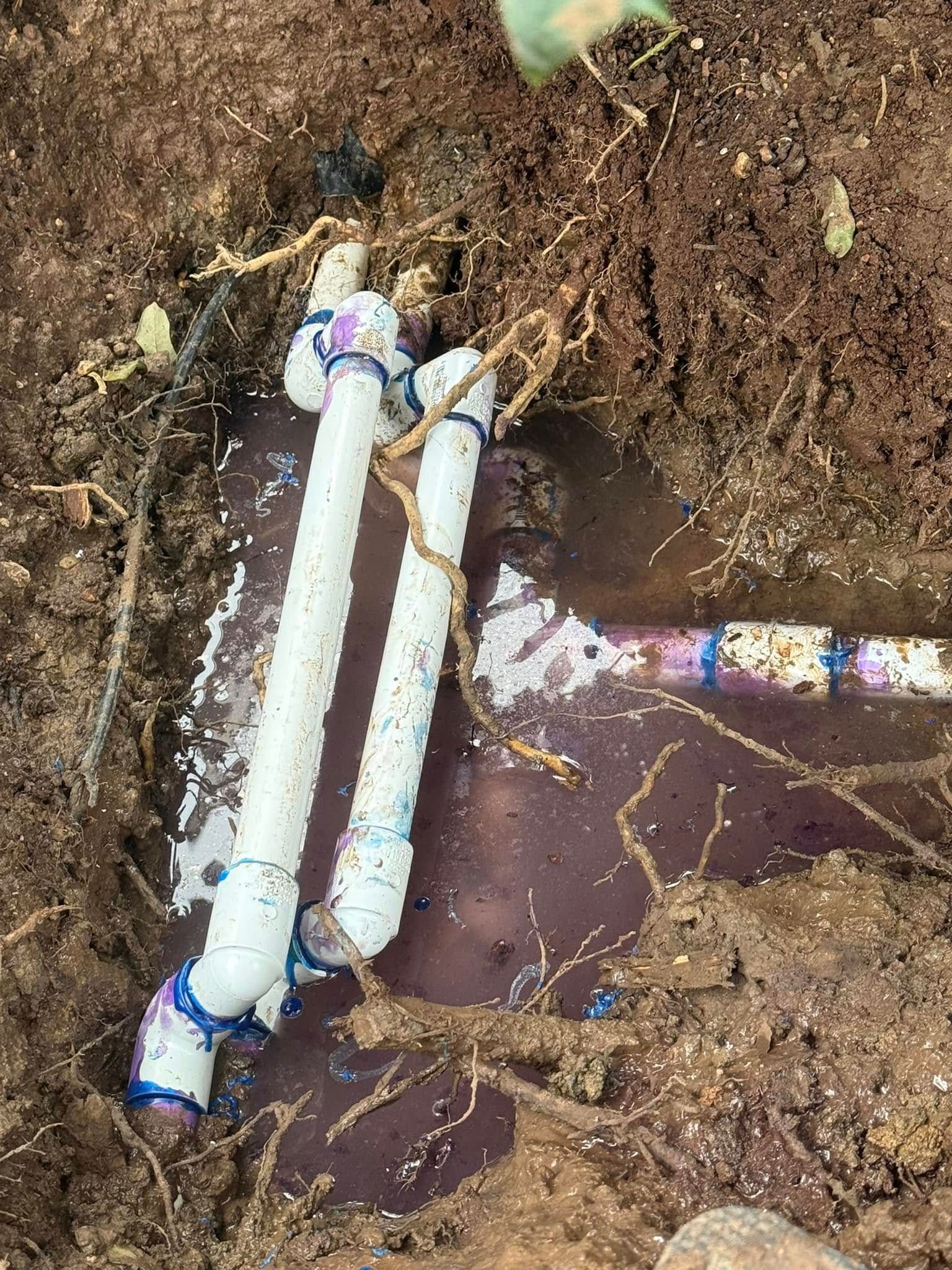 Exposed buried irrigation pipes; white PVC with blue fittings; water fills the excavated area.