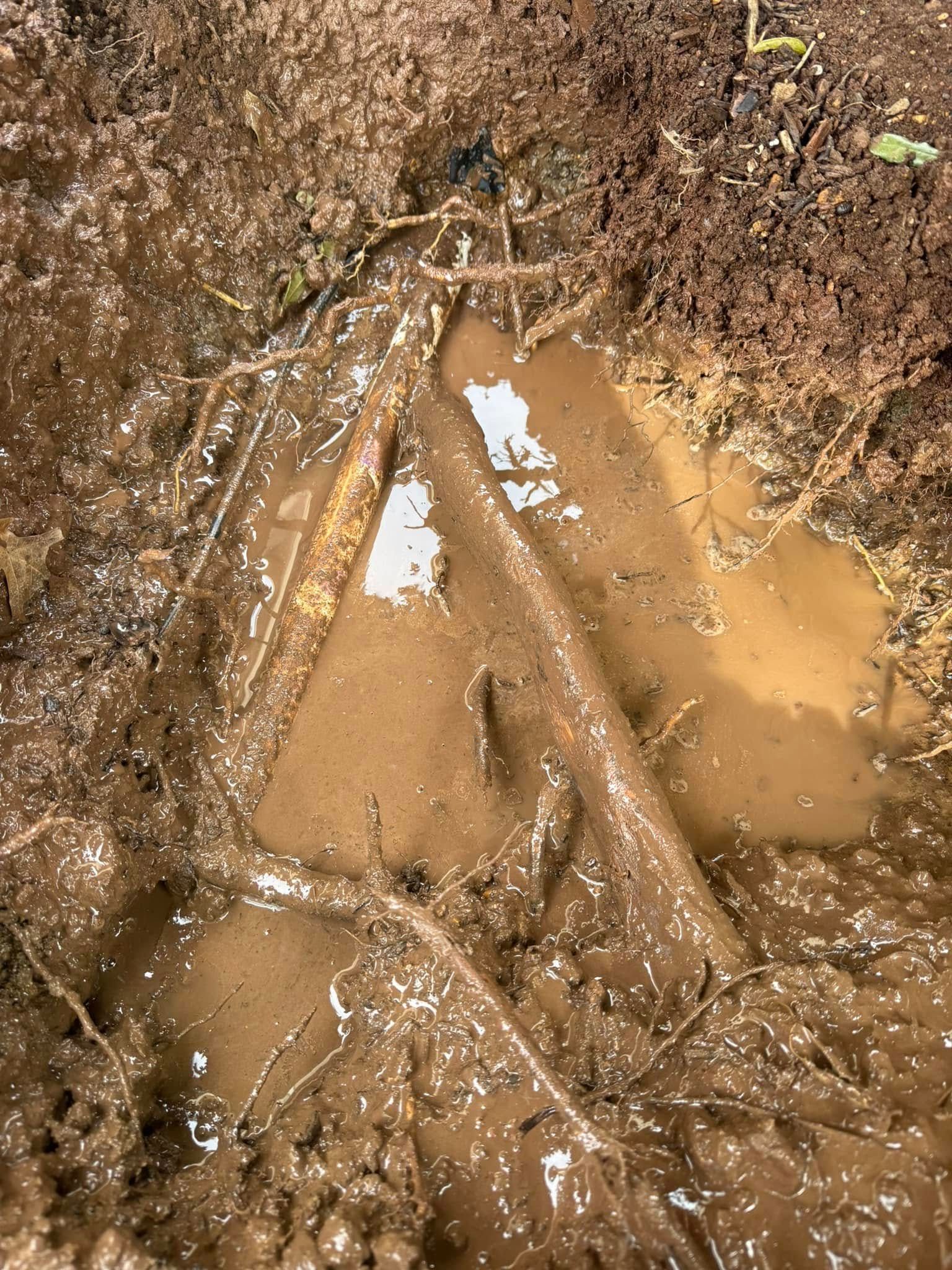 Muddy ground with translucent, organic shapes and water.