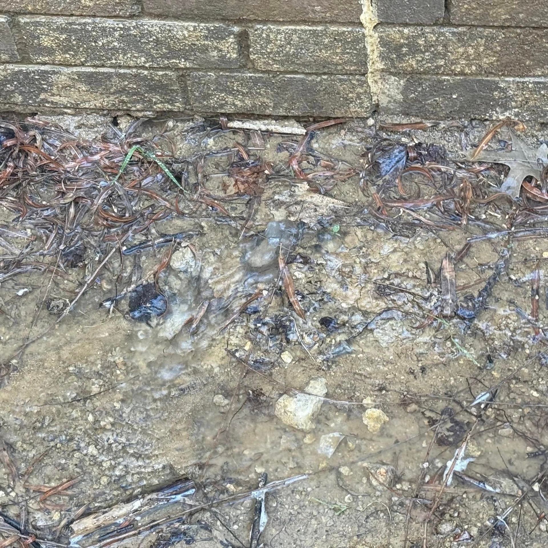 Wet, muddy ground with debris at the base of a brick wall.