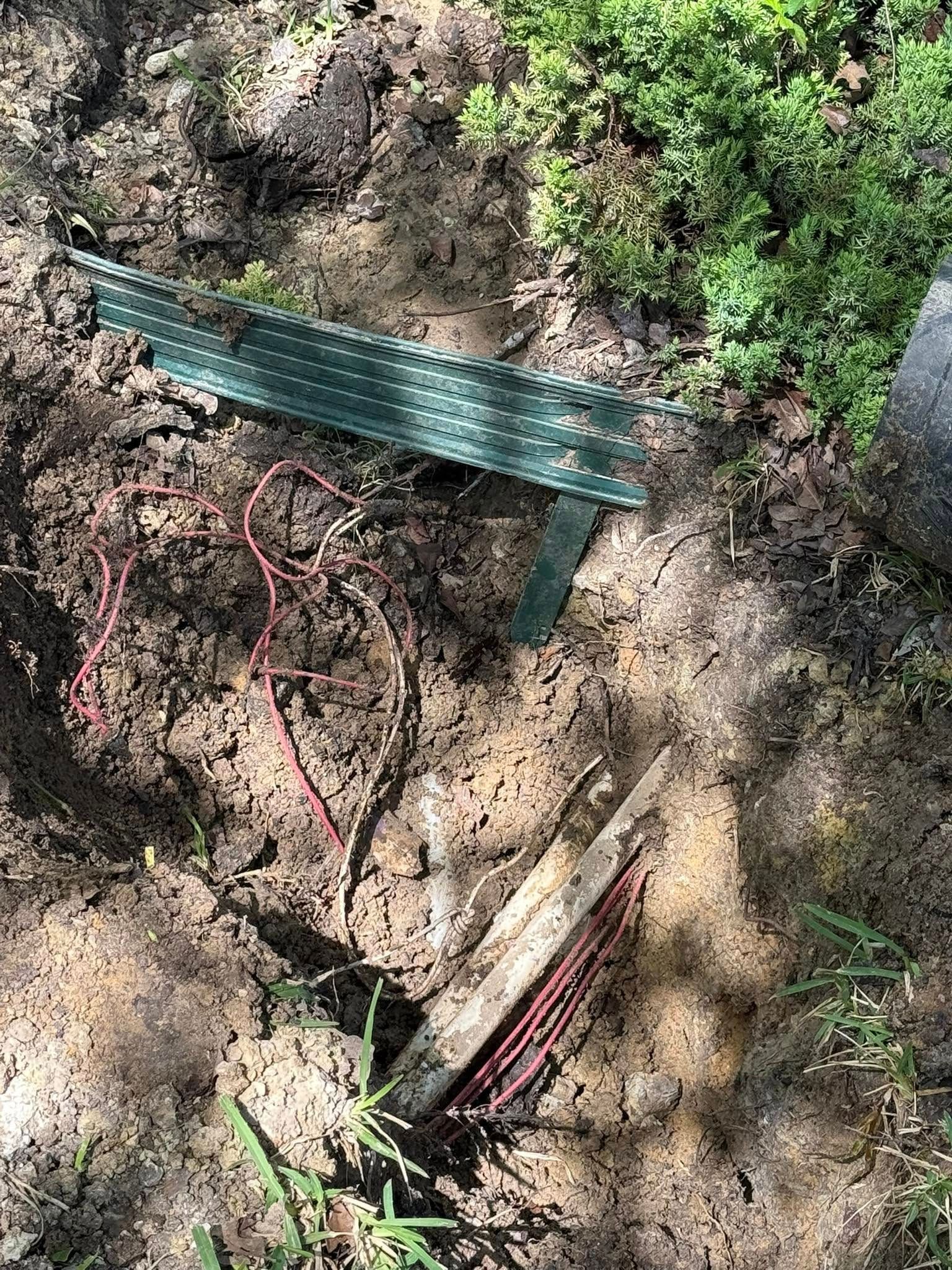 Debris in dirt: green plastic, red wires, wood fragment, and foliage.