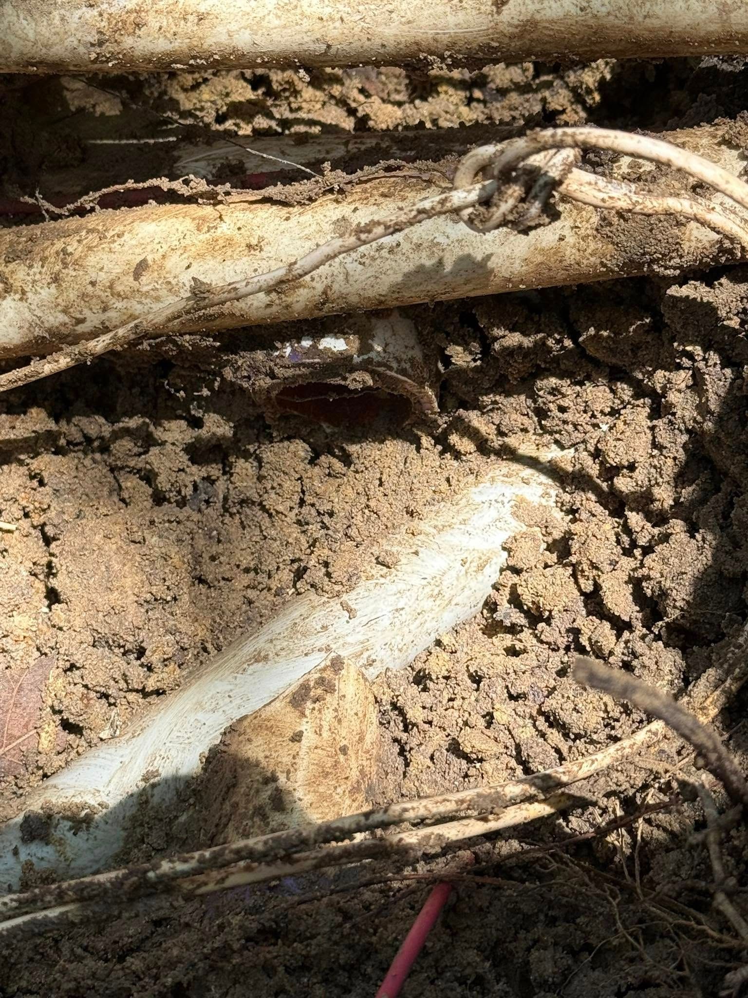 Soil with white plastic pipes and red wire visible.