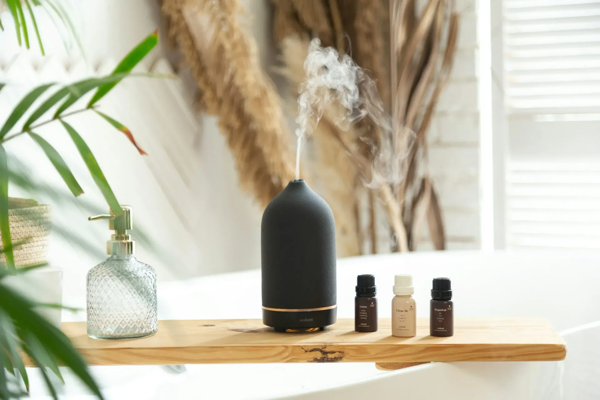 A row of black and amber skincare bottles on a wooden shelf by a bright window.