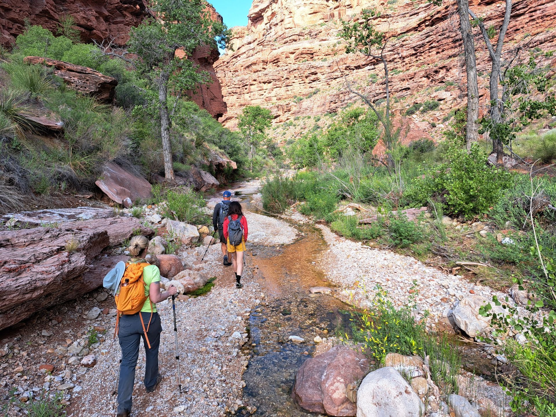 A group of people are hiking down a trail next to a river.