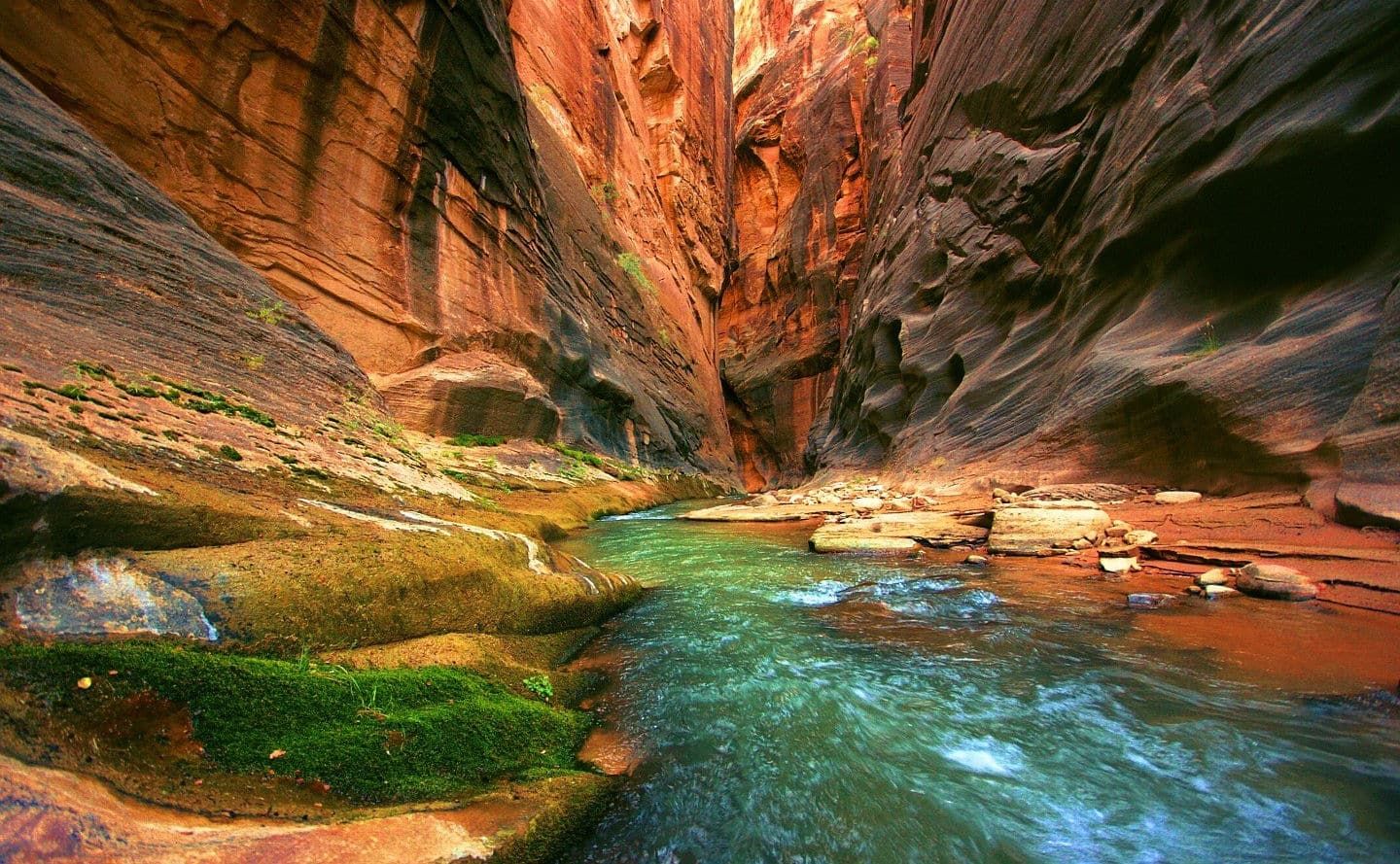 Virgin River during summer Narrows hiking season