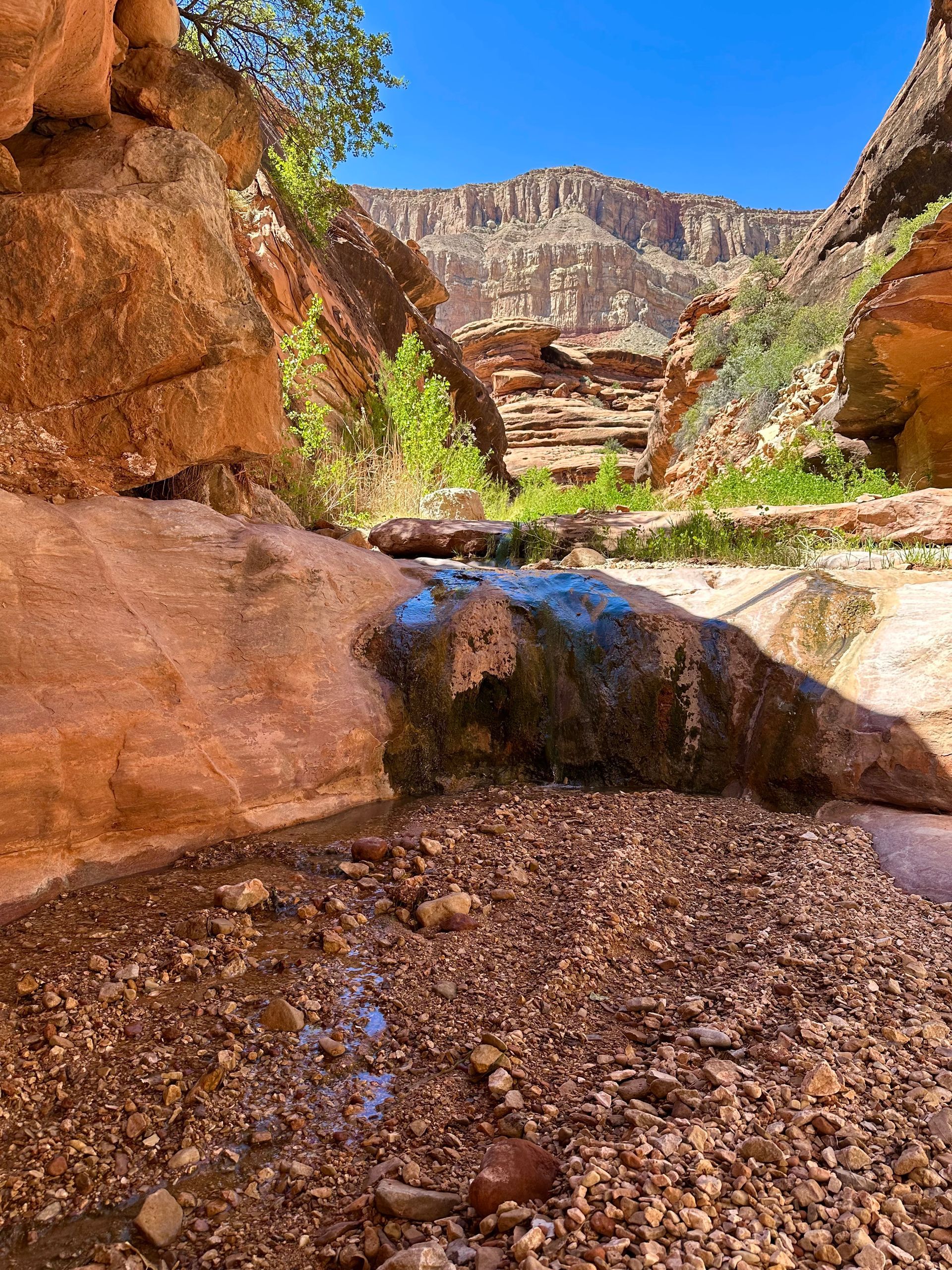 Narrow canyon with a small stream, red rock walls, and distant mountain under a blue sky.