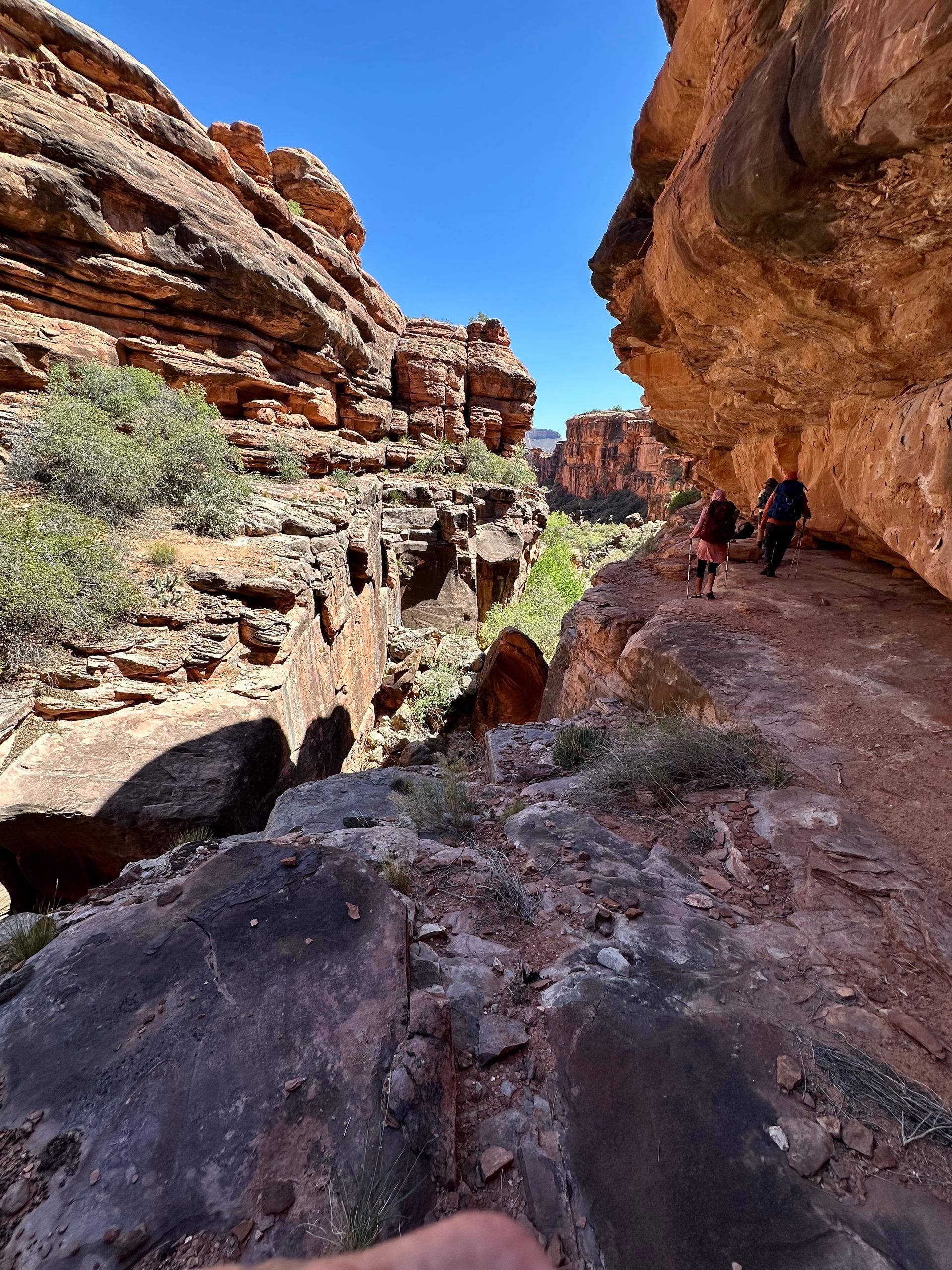 Hikers in a narrow canyon, red rock walls, clear blue sky.