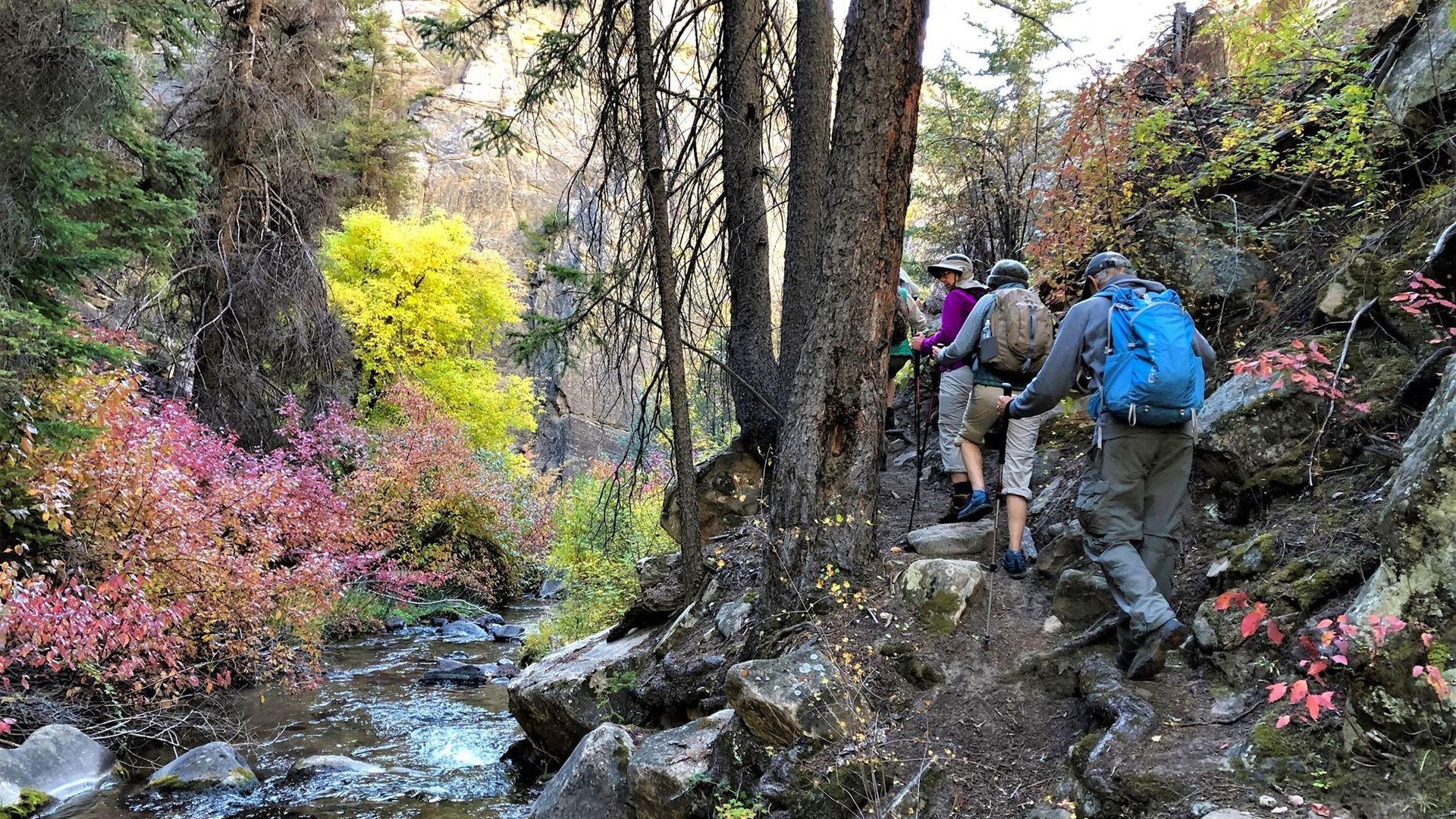 Fall in the Southwest
