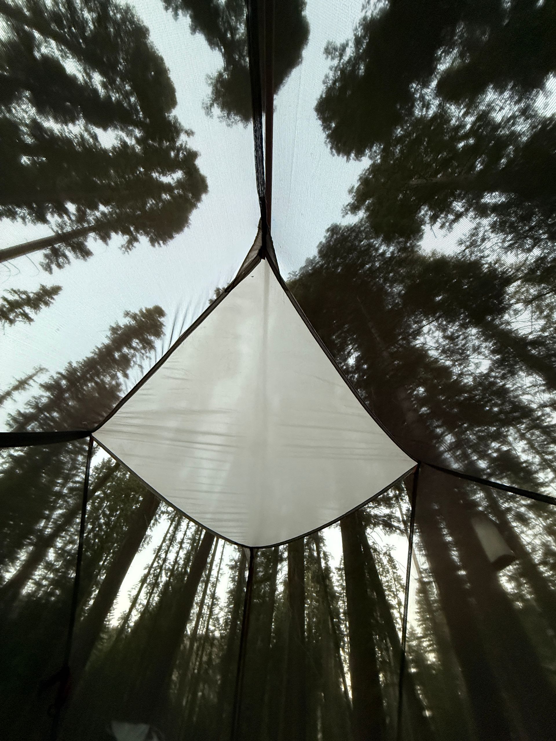 View from inside a tent, looking up through mesh at trees and a white fabric panel.