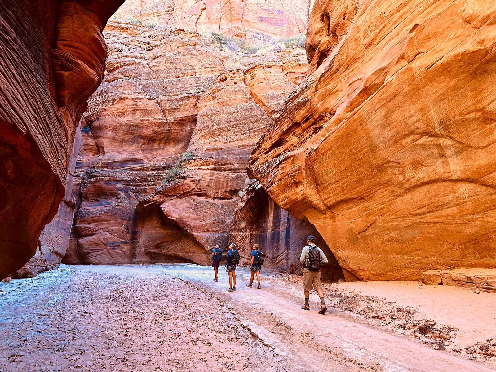 A Group of People Are Hiking Up a Mountain