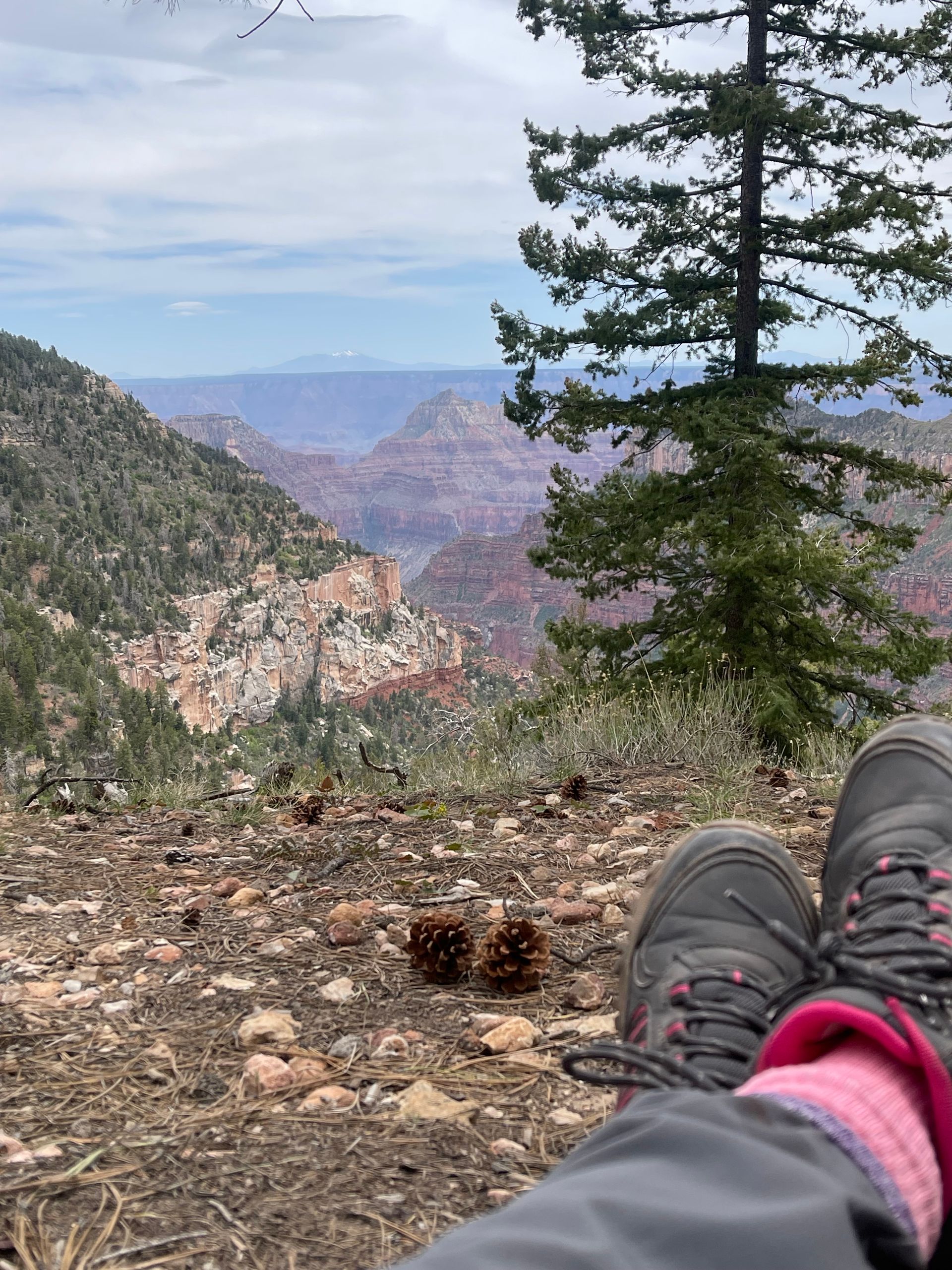 Hiking boots and pink socks resting, overlooking canyon landscape.