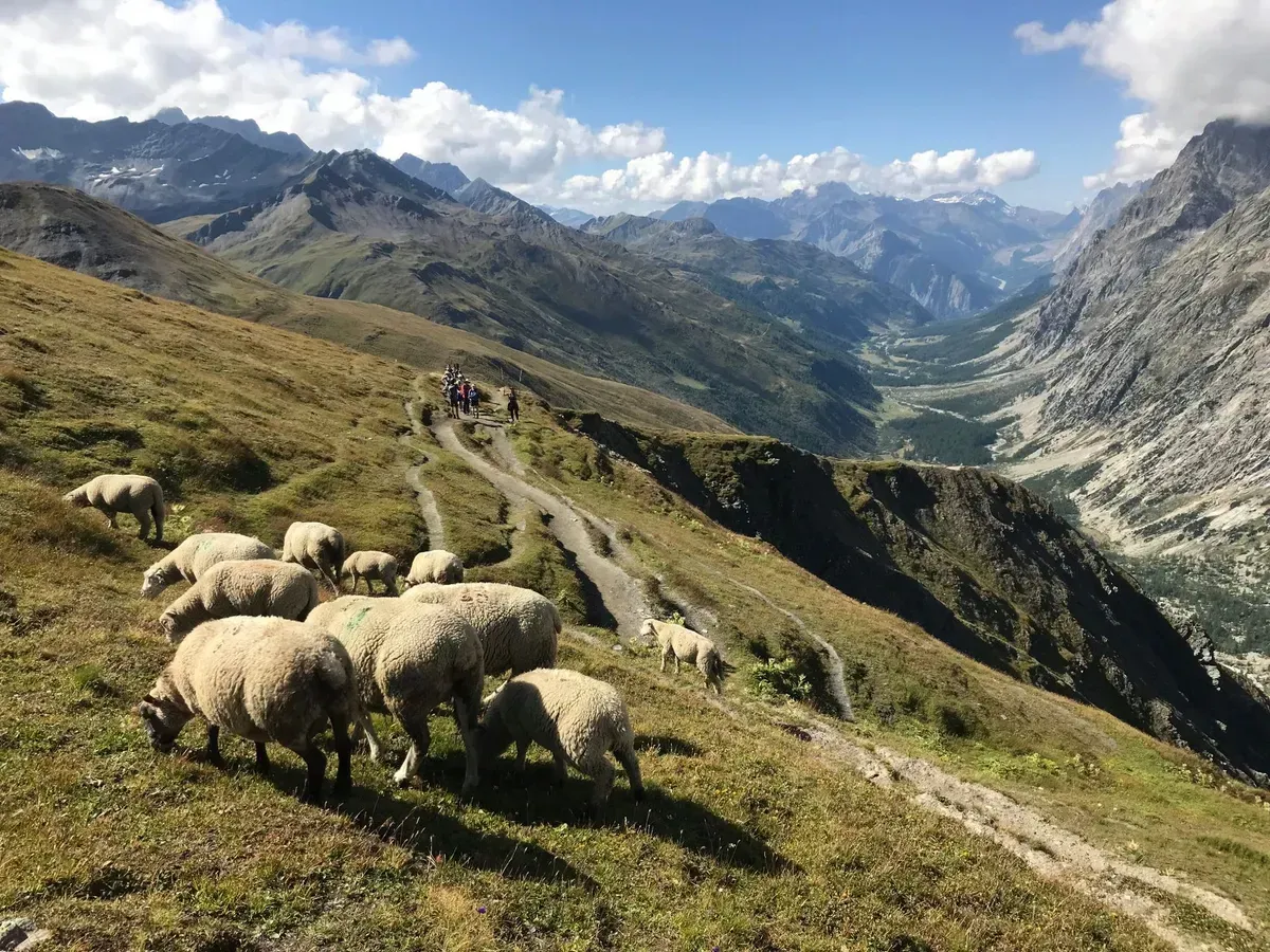 Hikers ascending toward Grand Col Ferret on the Tour du Mont Blanc