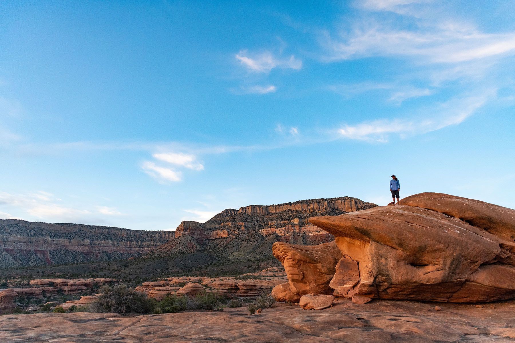 Person standing on a rocky desert ledge under a blue sky