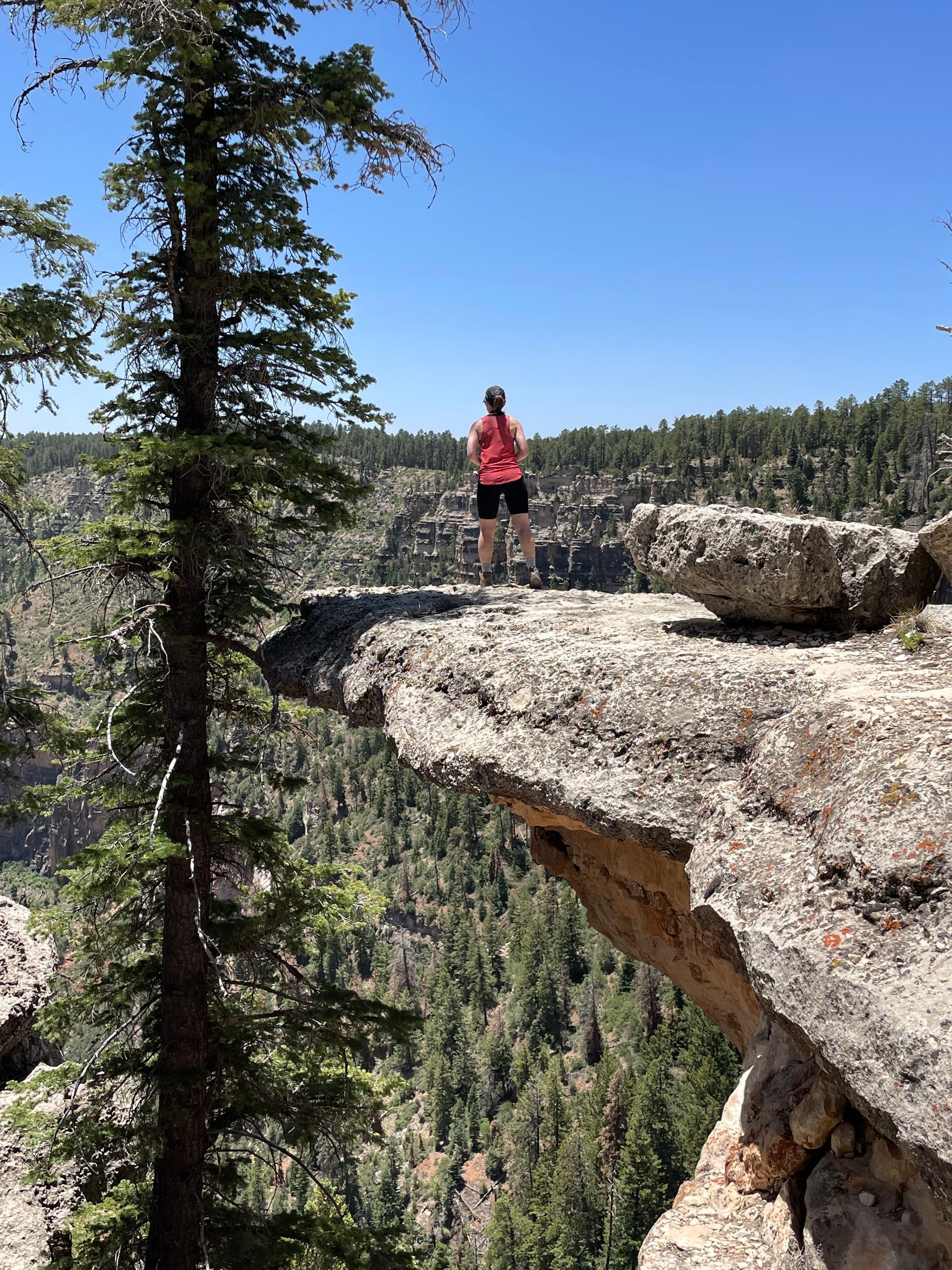 A person is standing on top of a rocky cliff overlooking a forest.