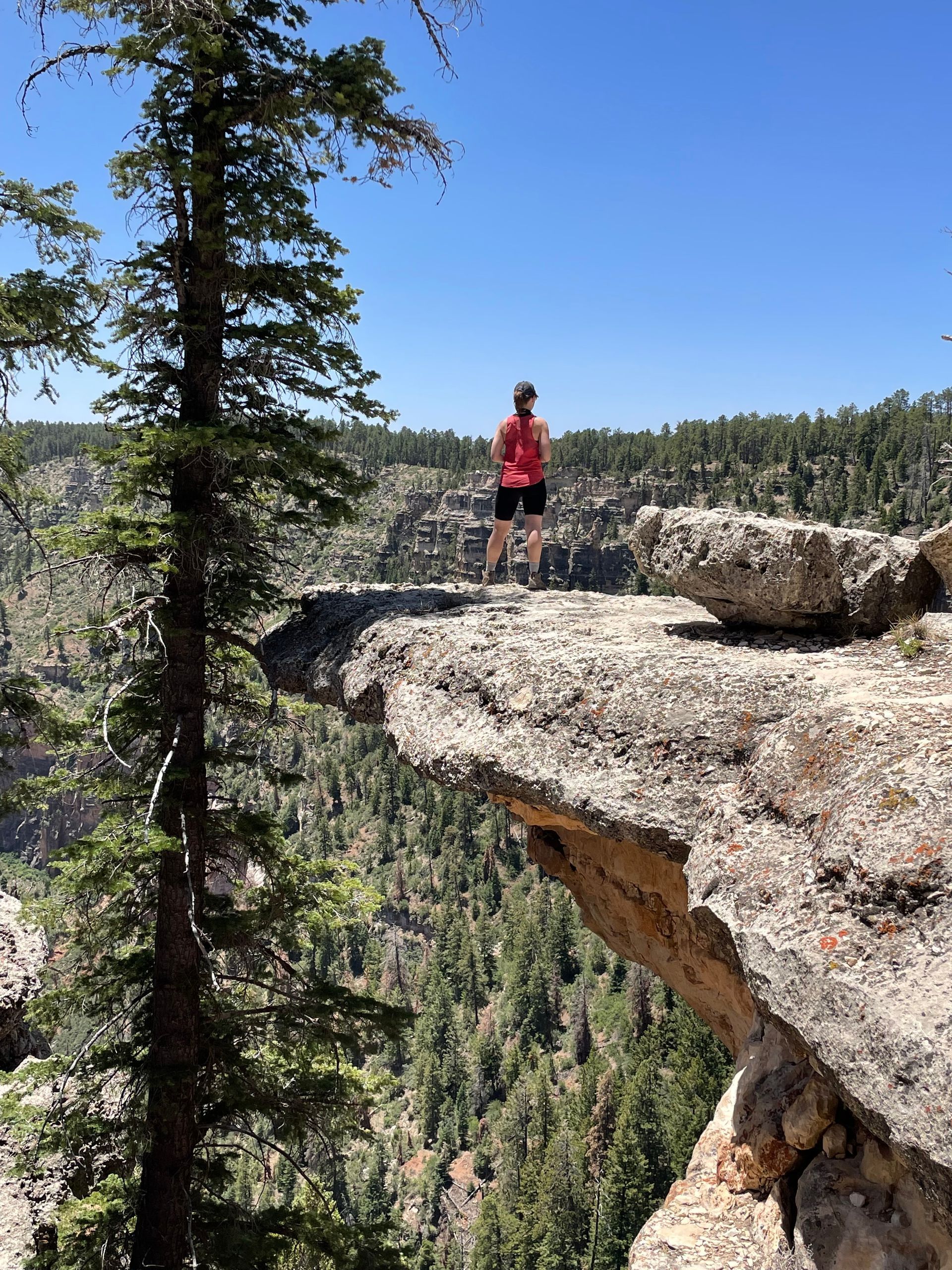 A person is standing on a rocky cliff overlooking a forest.