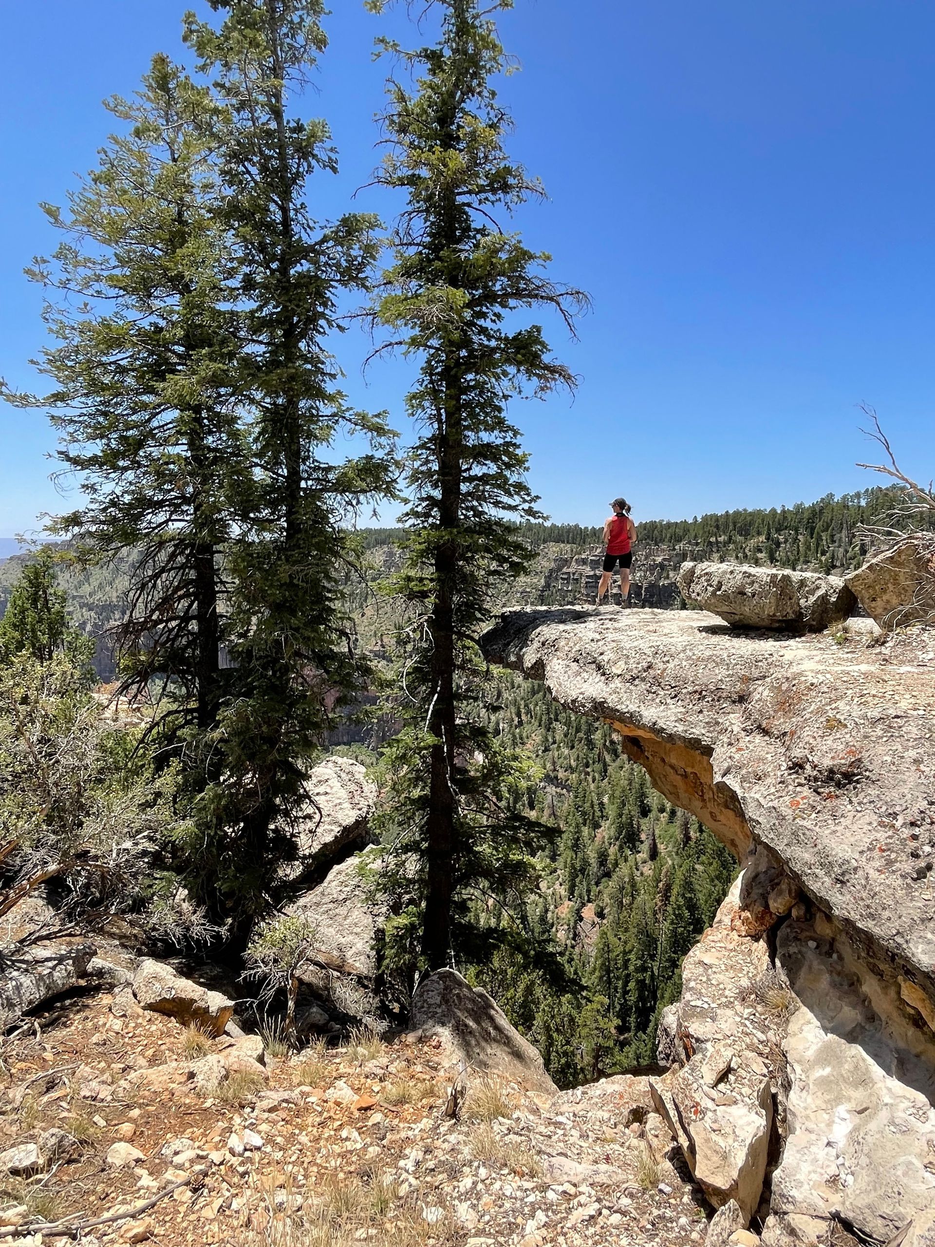 A person is sitting on top of a rocky cliff overlooking a forest.