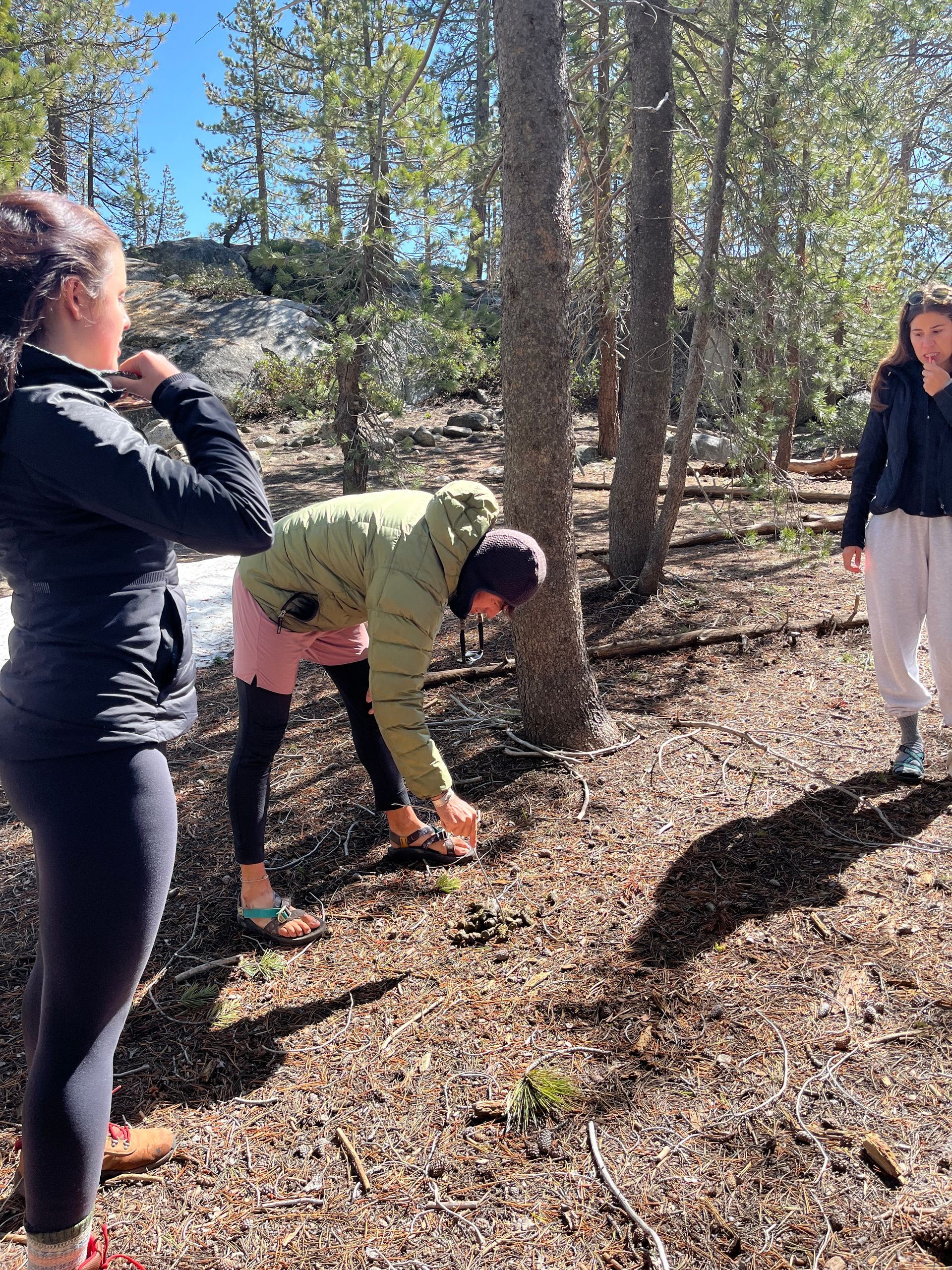 A group of people are standing in the woods looking at something.