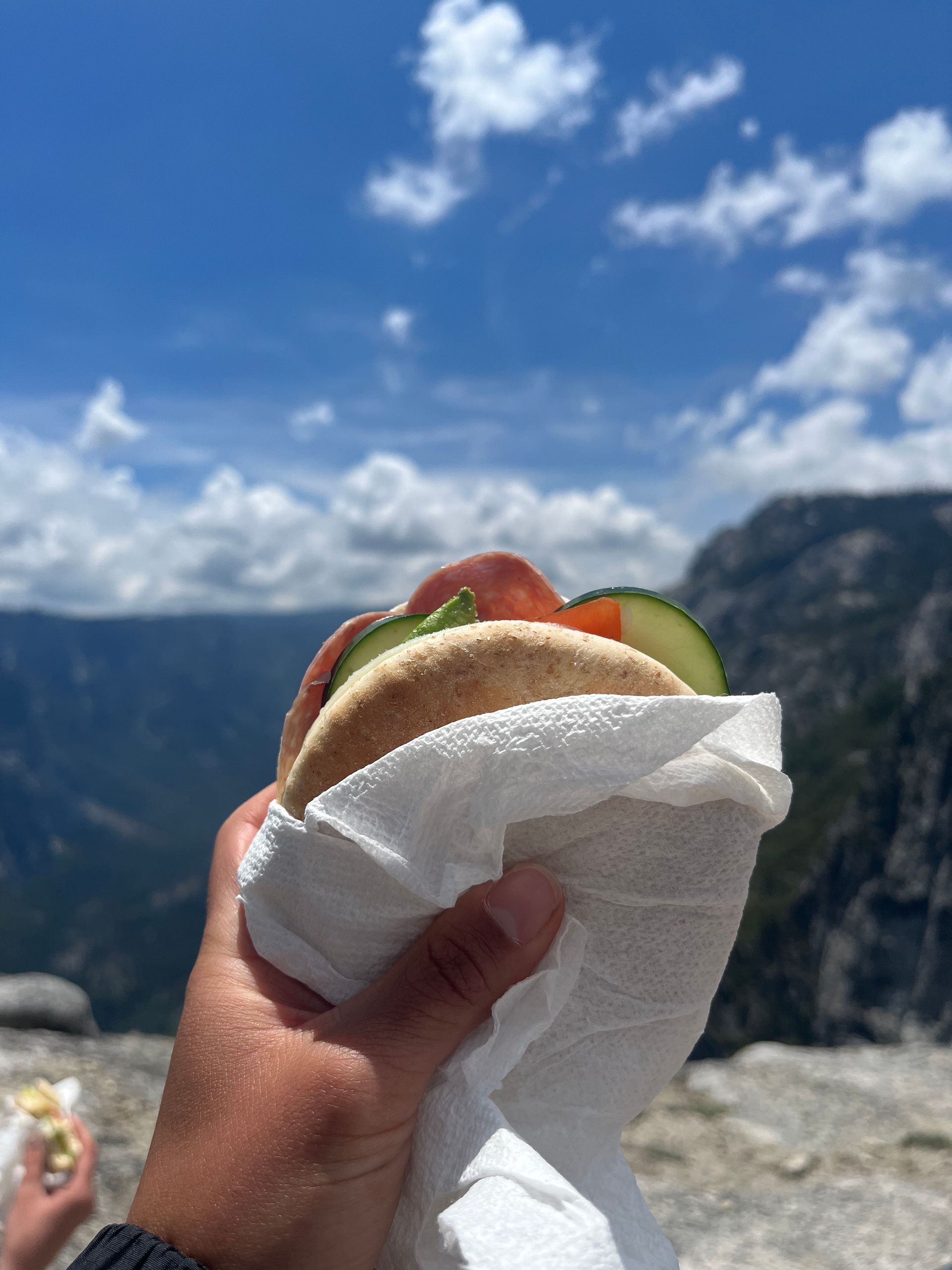 A person is holding a sandwich in front of a mountain.