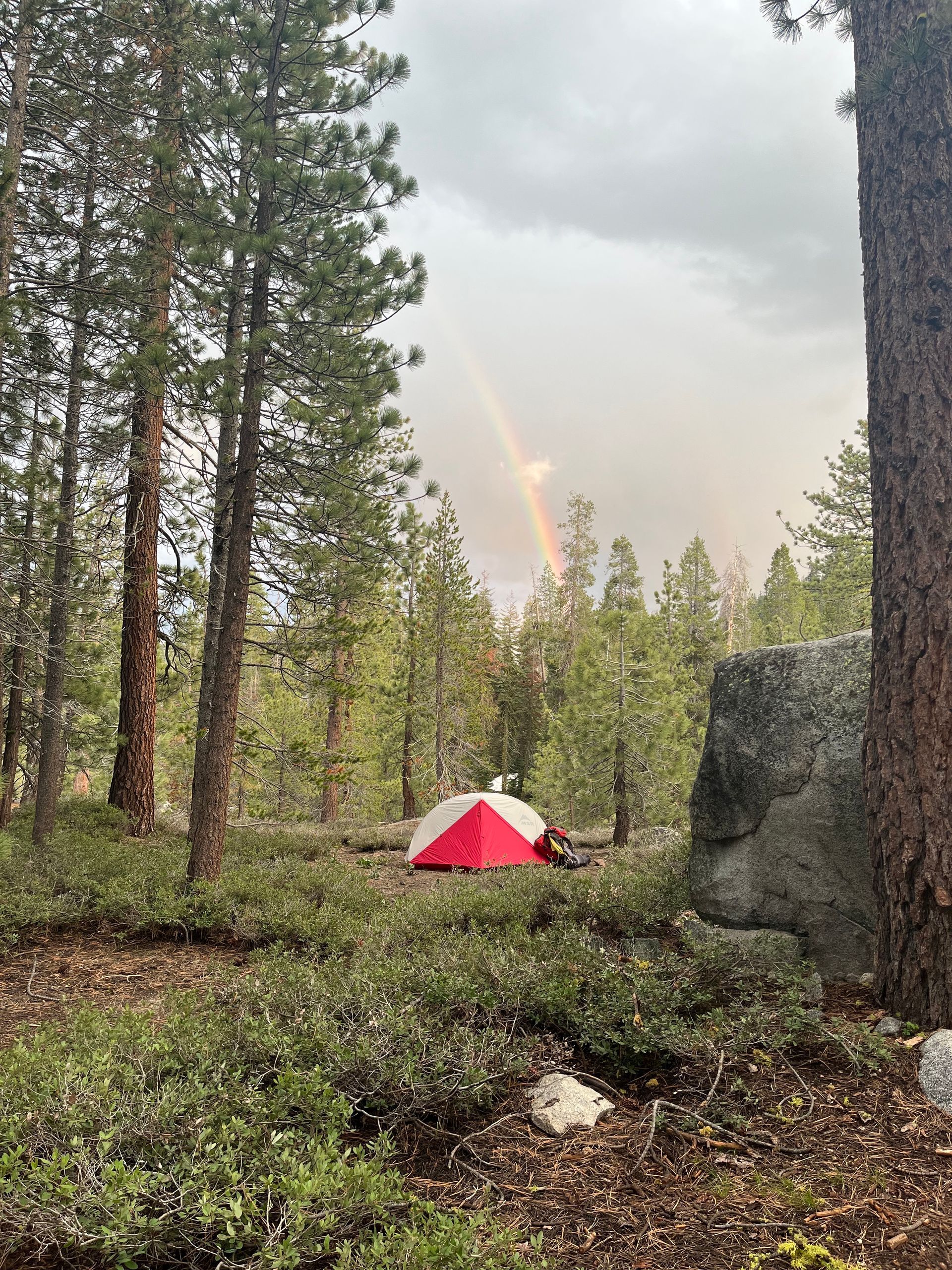 A tent is sitting in the middle of a forest with a rainbow in the background.