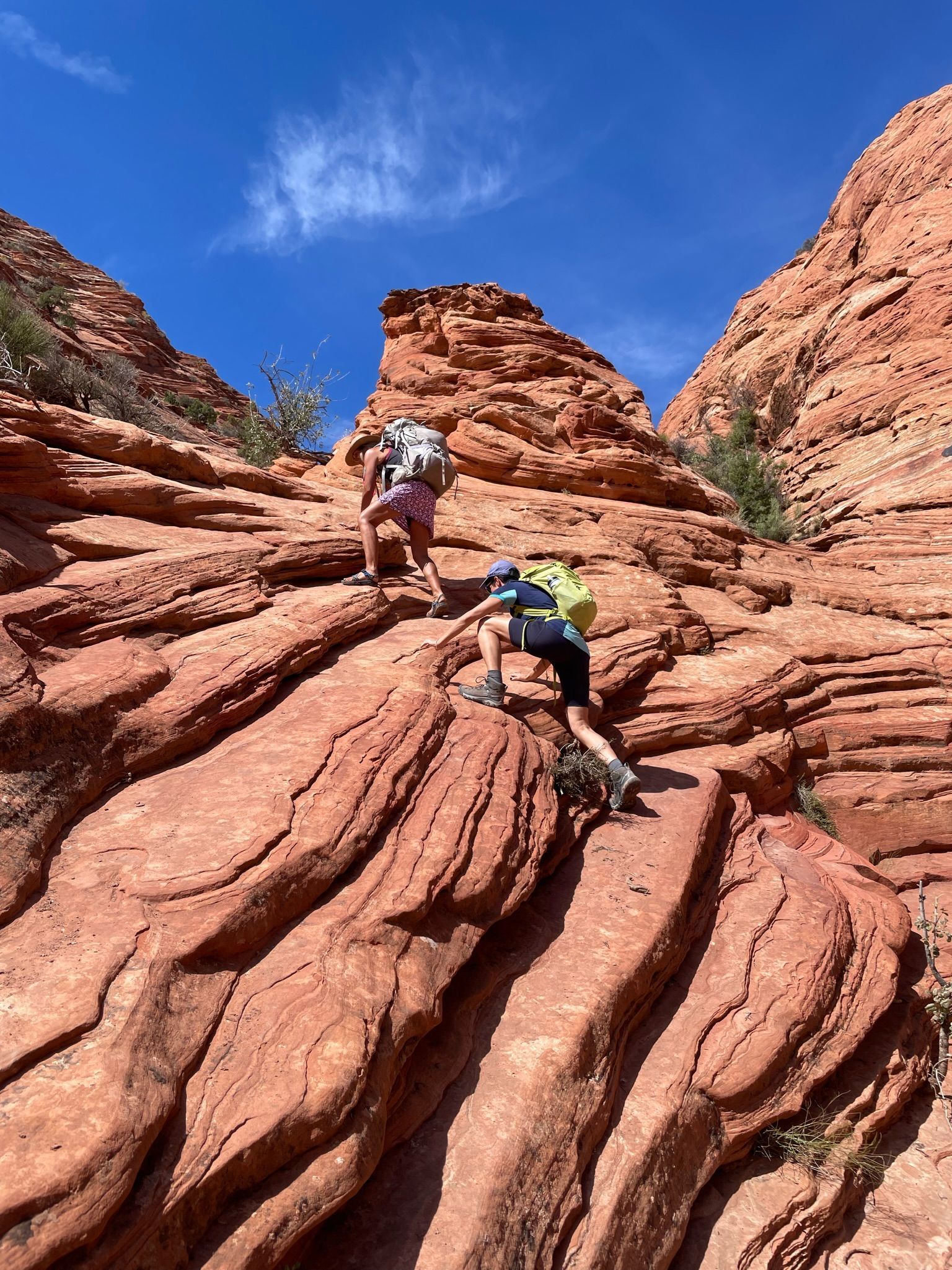 A group of people are climbing up a rocky cliff.