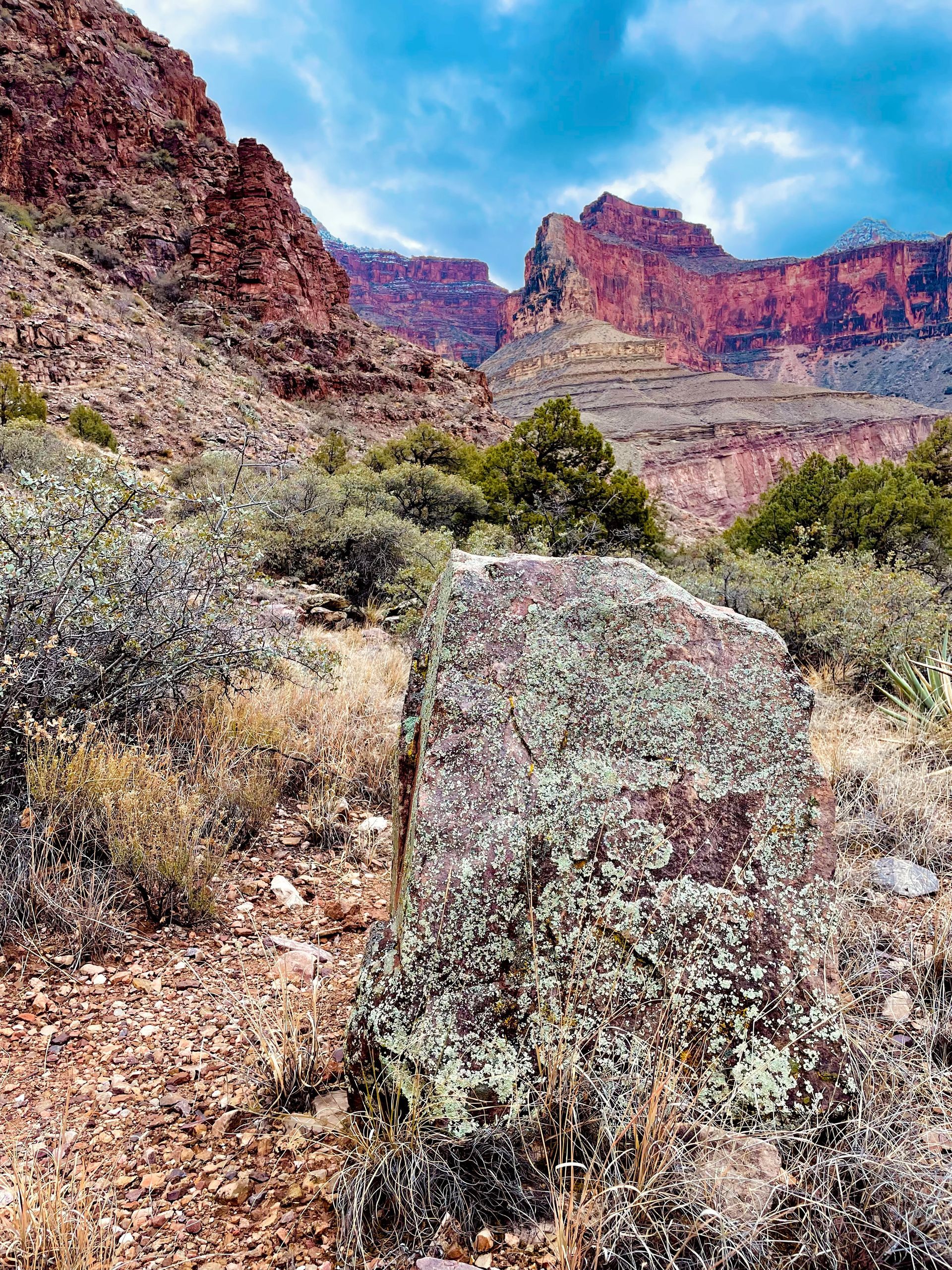 A desert landscape with mountains in the background and a large rock in the foreground.